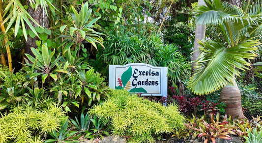 A Tropical Oasis: Exploring Excelsa Gardens in Loxahatchee