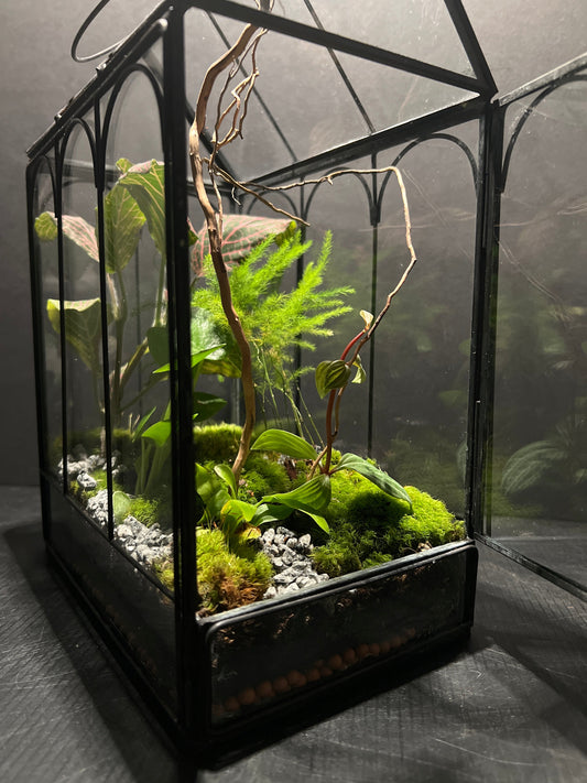 The Endless Terrarium Puzzle: Crafting Unique Worlds for Every Client š§©
