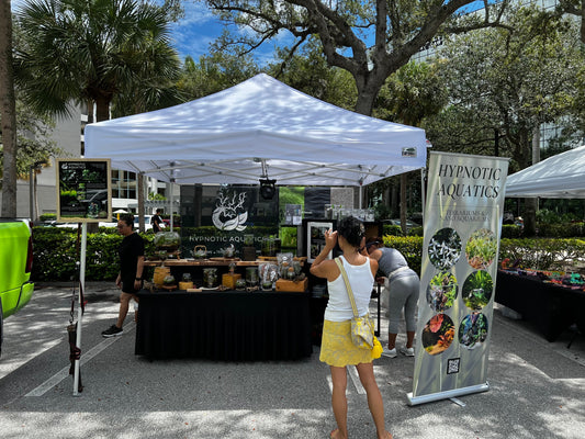 Setting Up a Terrarium Booth in South Florida's Summer Heat š„µ
