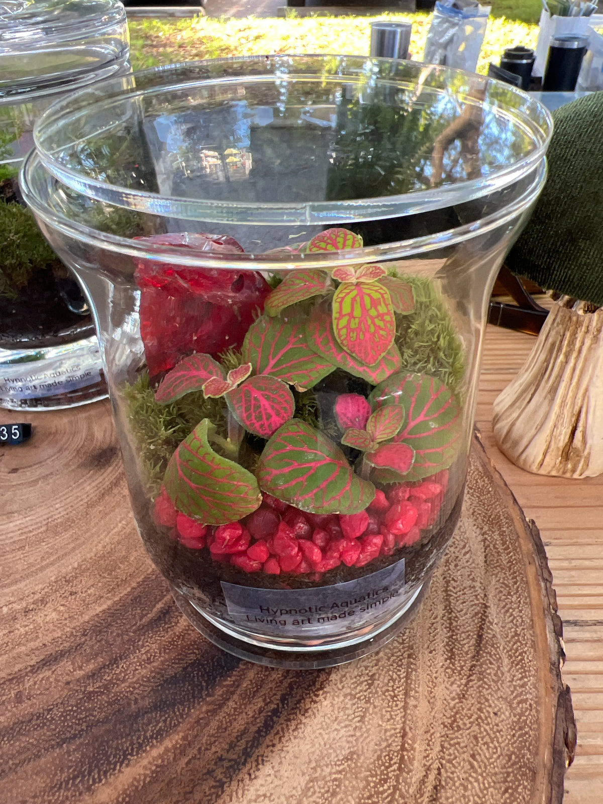 Terrarium 946