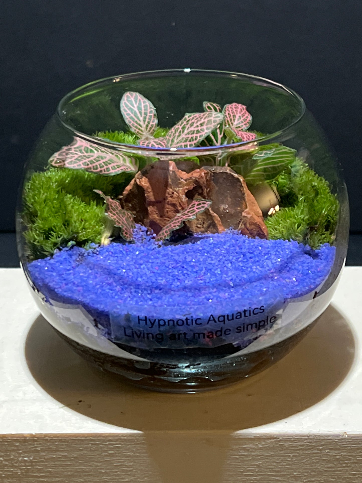 Terrarium 232