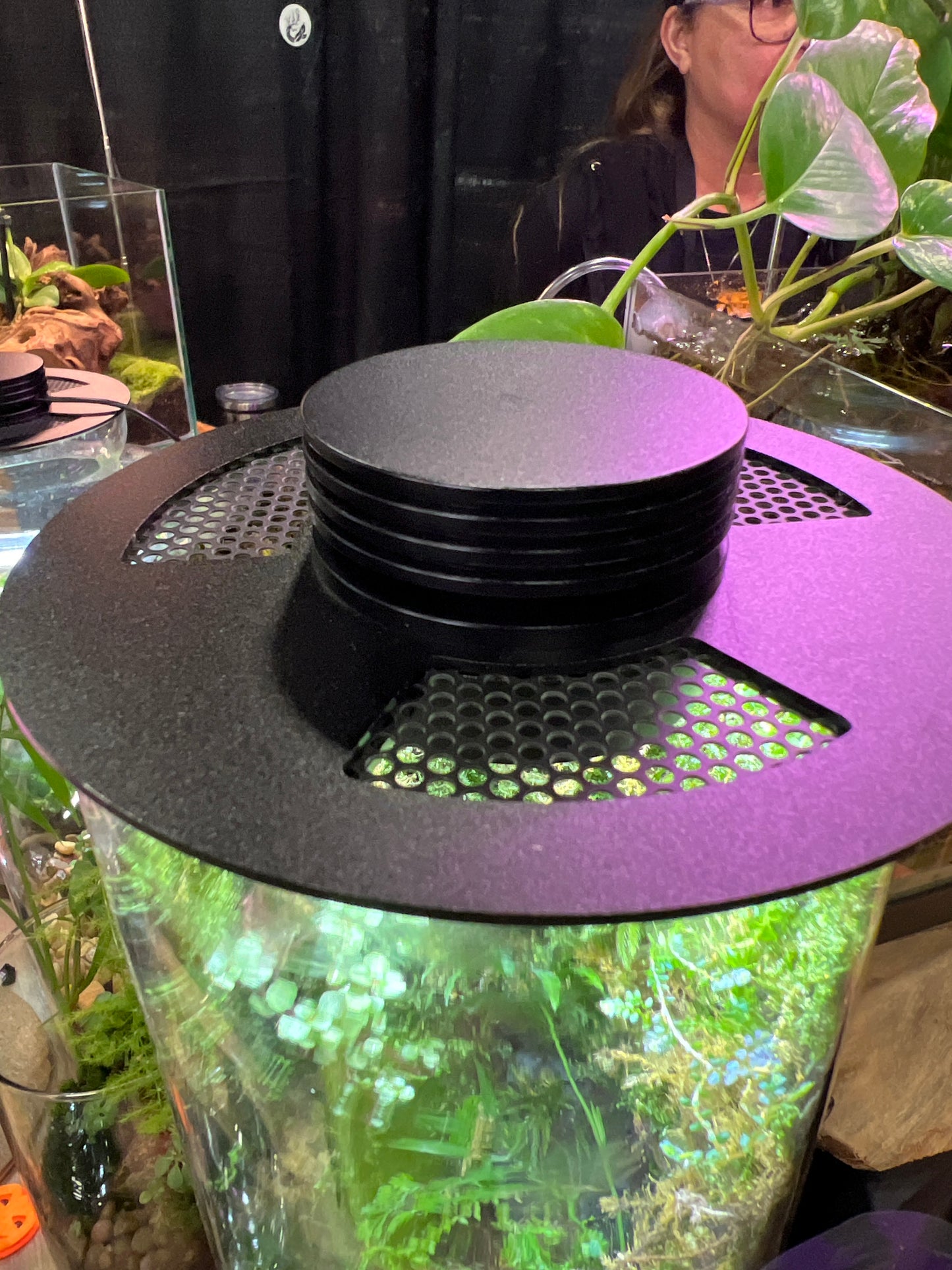 Terrarium Light Fixture With Vent