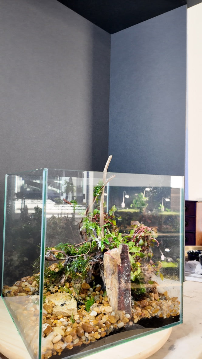 Nano Aquarium: The Edge