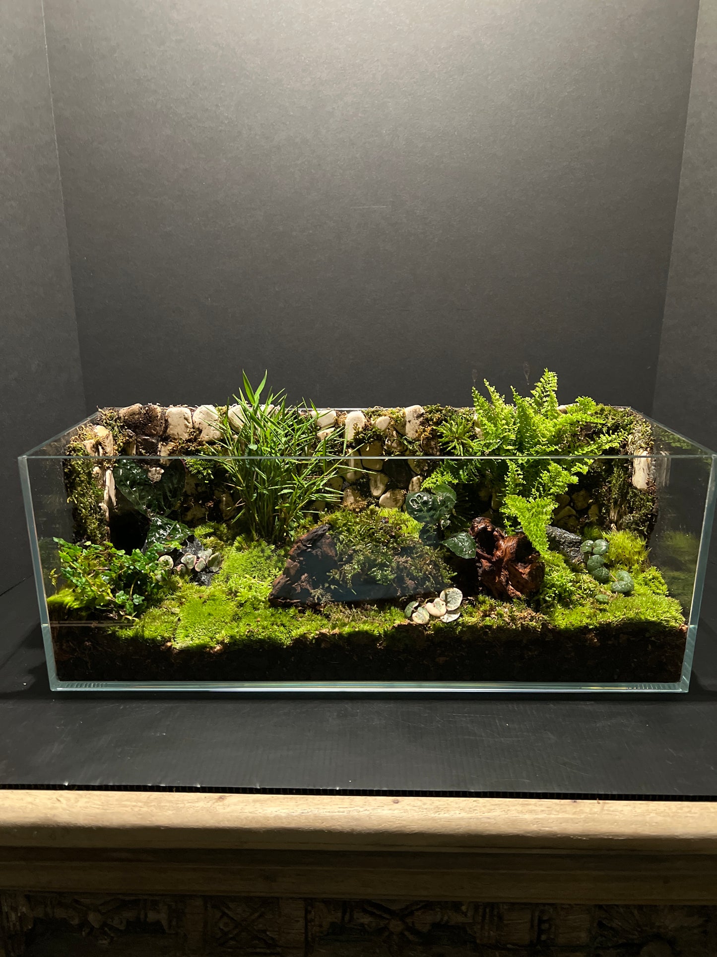 Terrarium #12