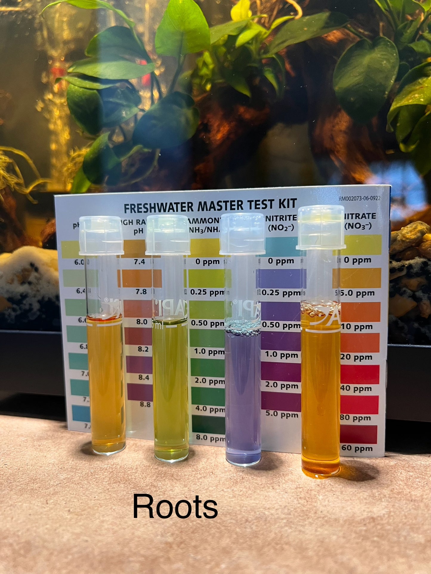 Nano Aquarium: Roots