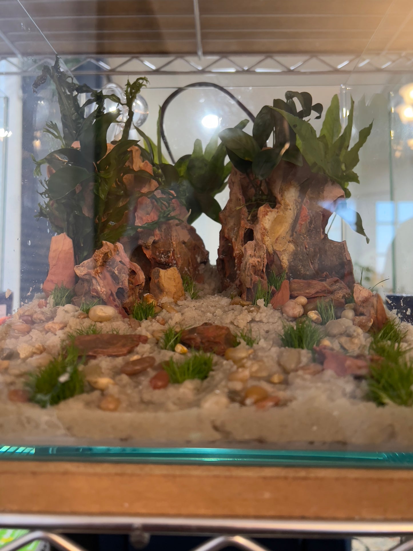 Nano Aquarium: Twin Peaks