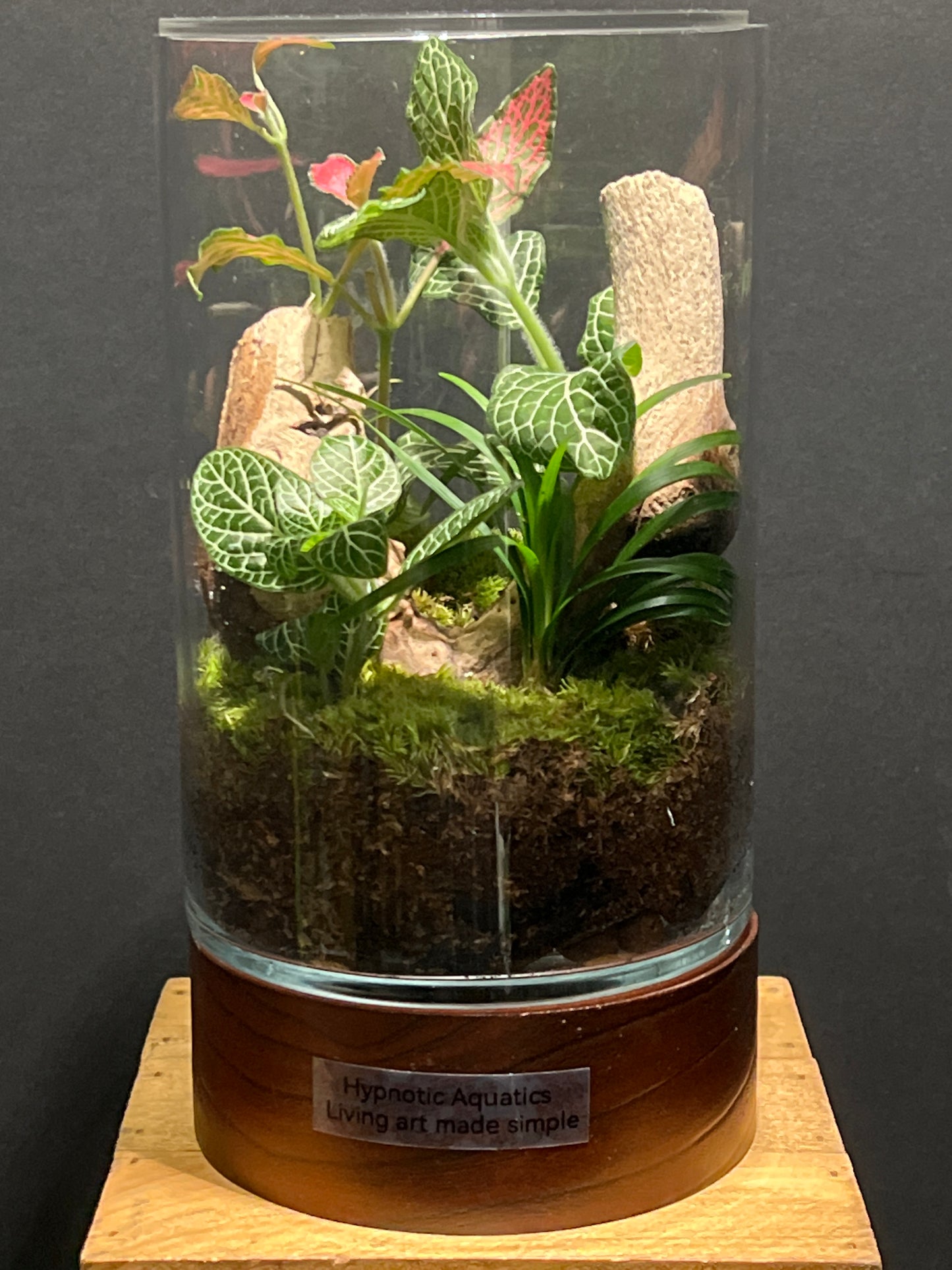 Terrarium #126