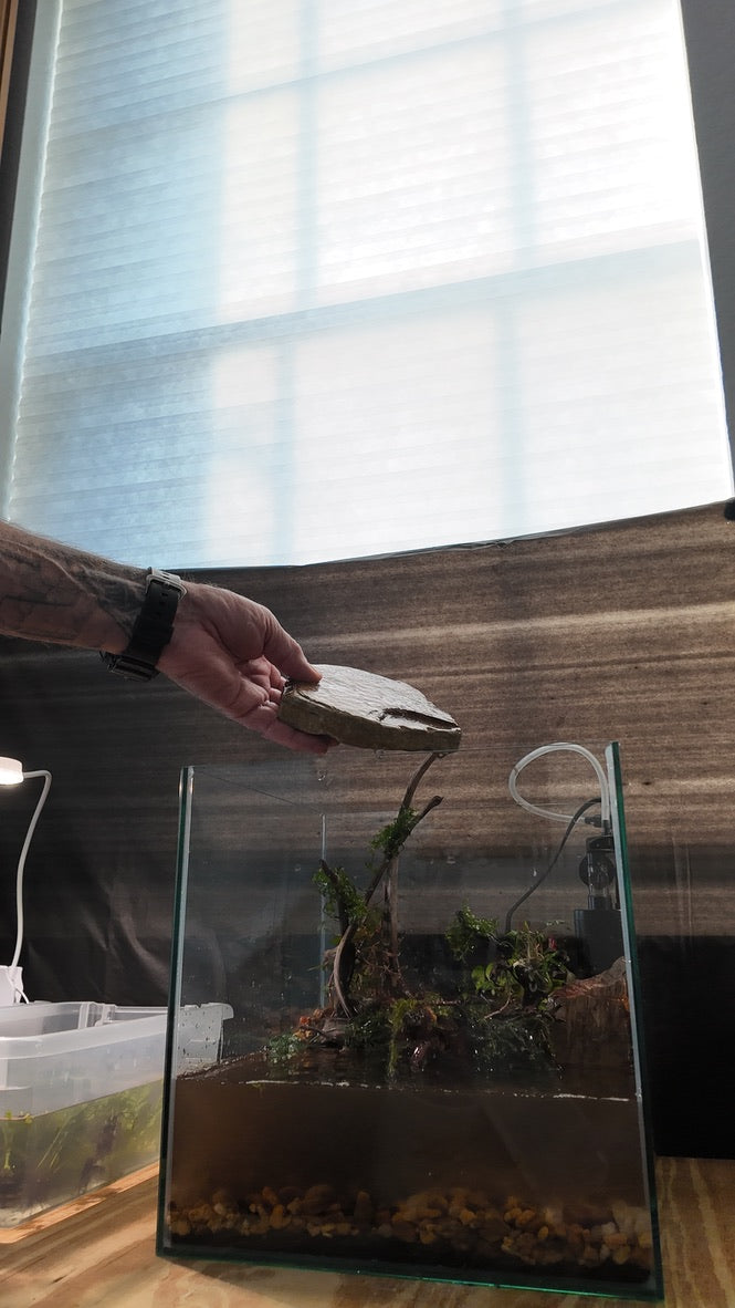 Nano Aquarium: The Edge