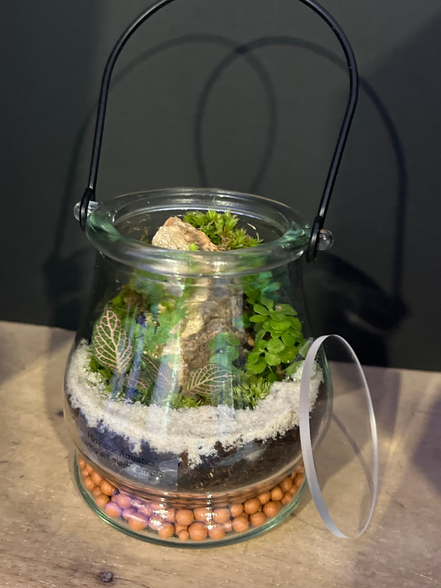 Terrarium 476