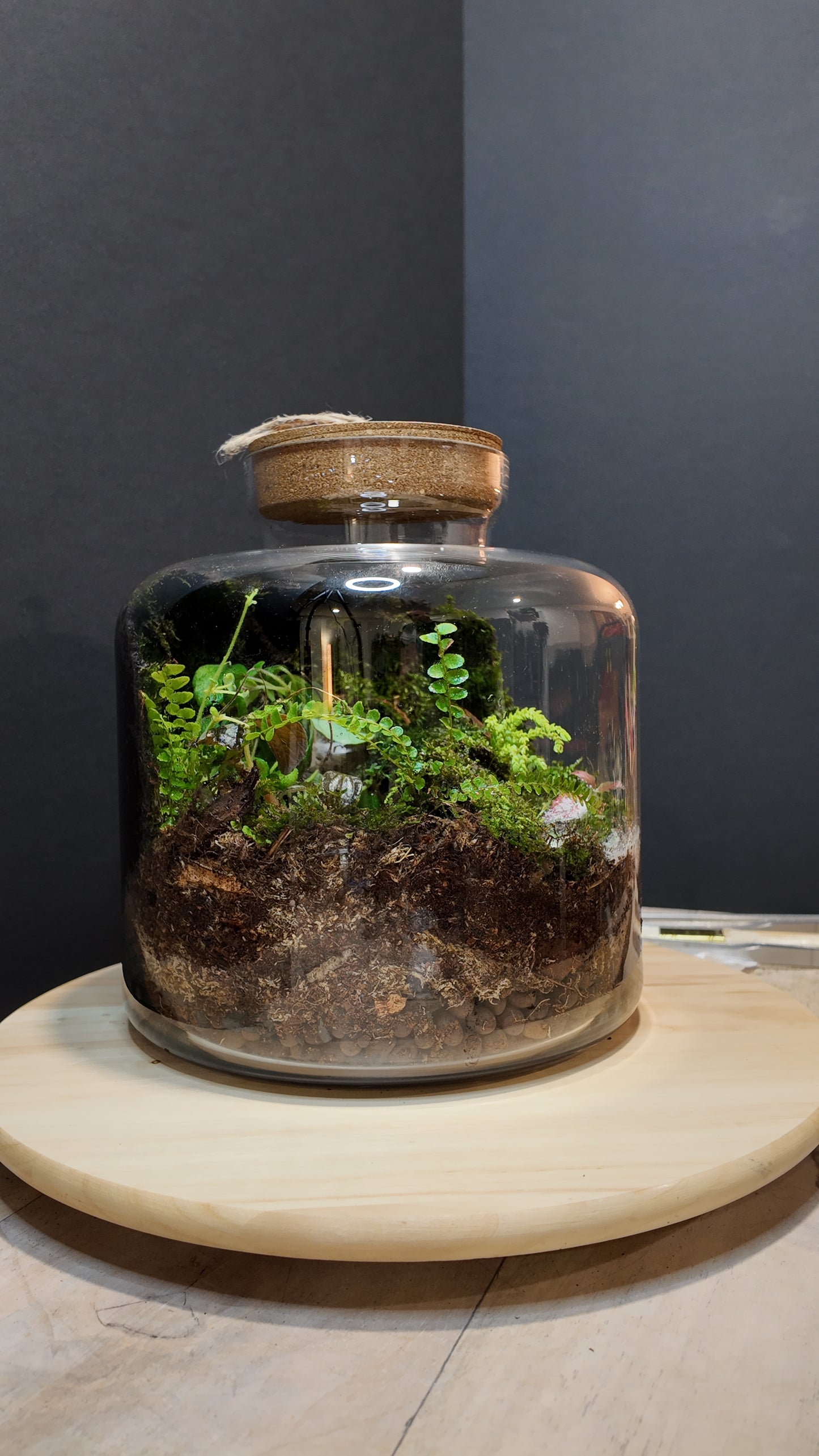 Terrarium #3