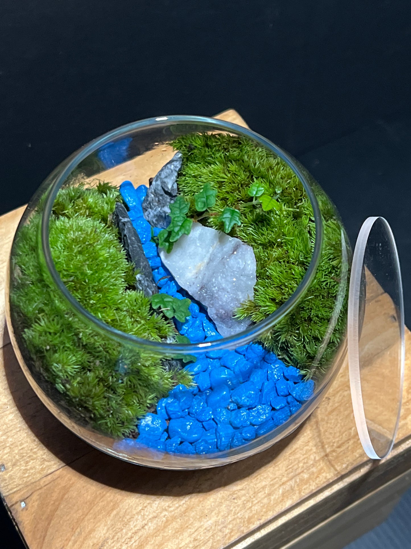 Terrarium #110