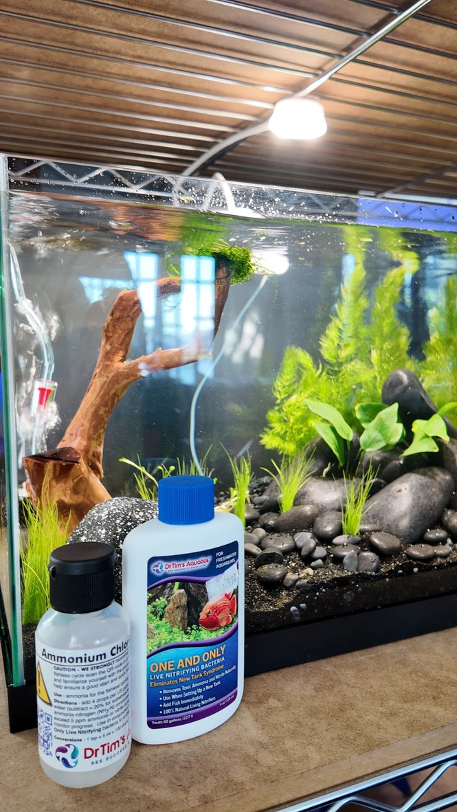 Nano Aquarium: Midnight