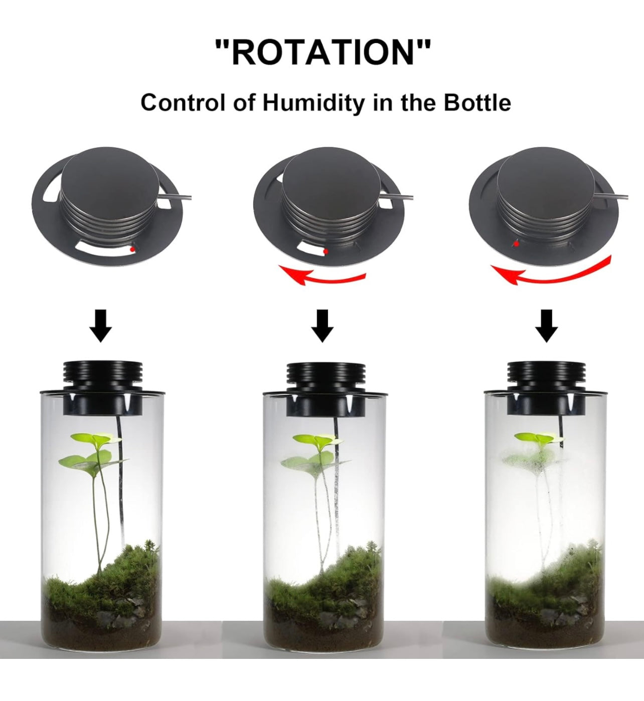 Terrarium Light Fixture With Vent