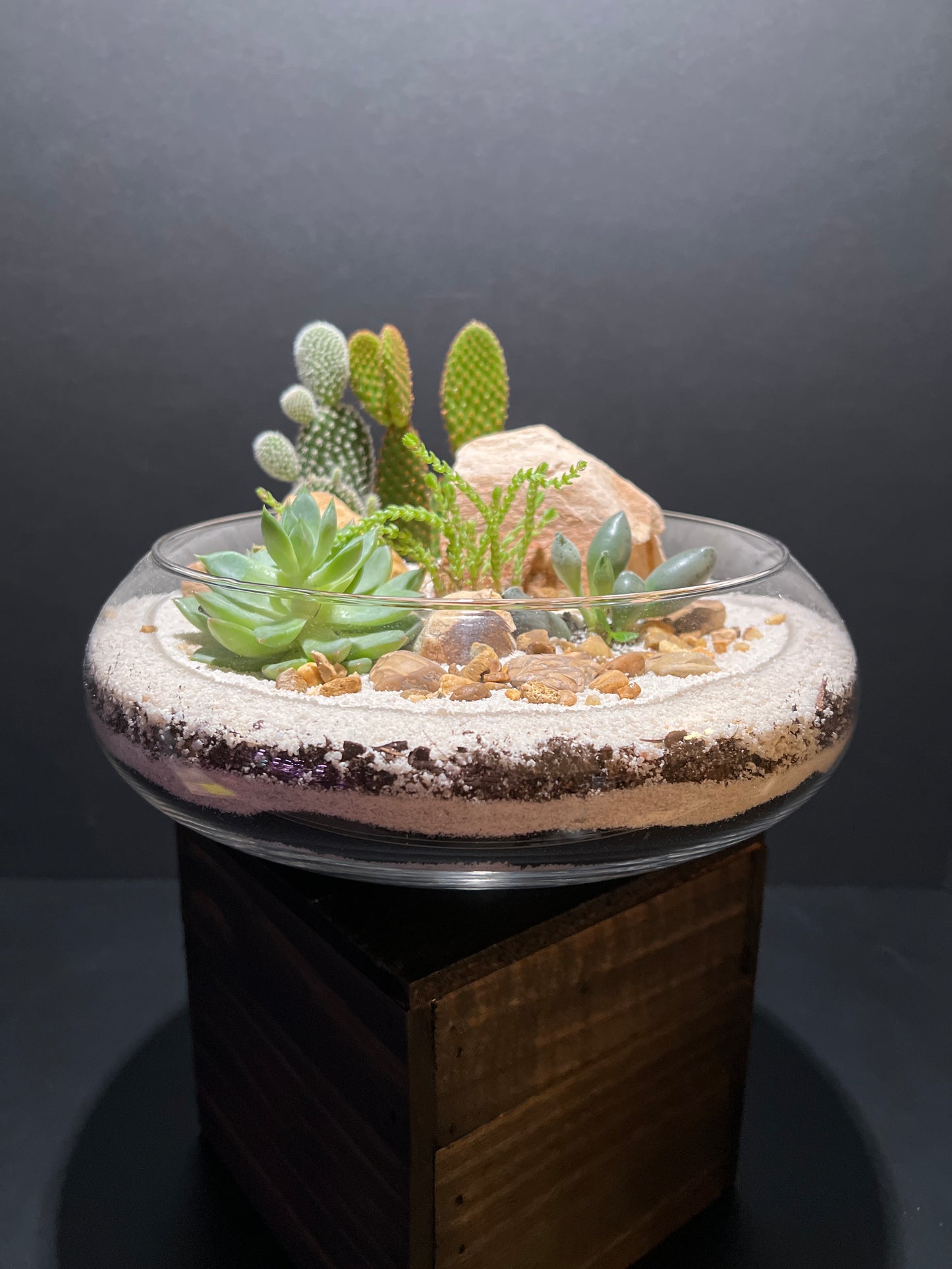 Terrarium #13