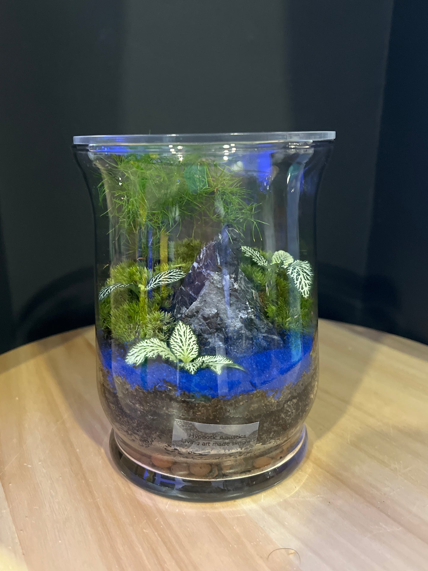Terrarium 798
