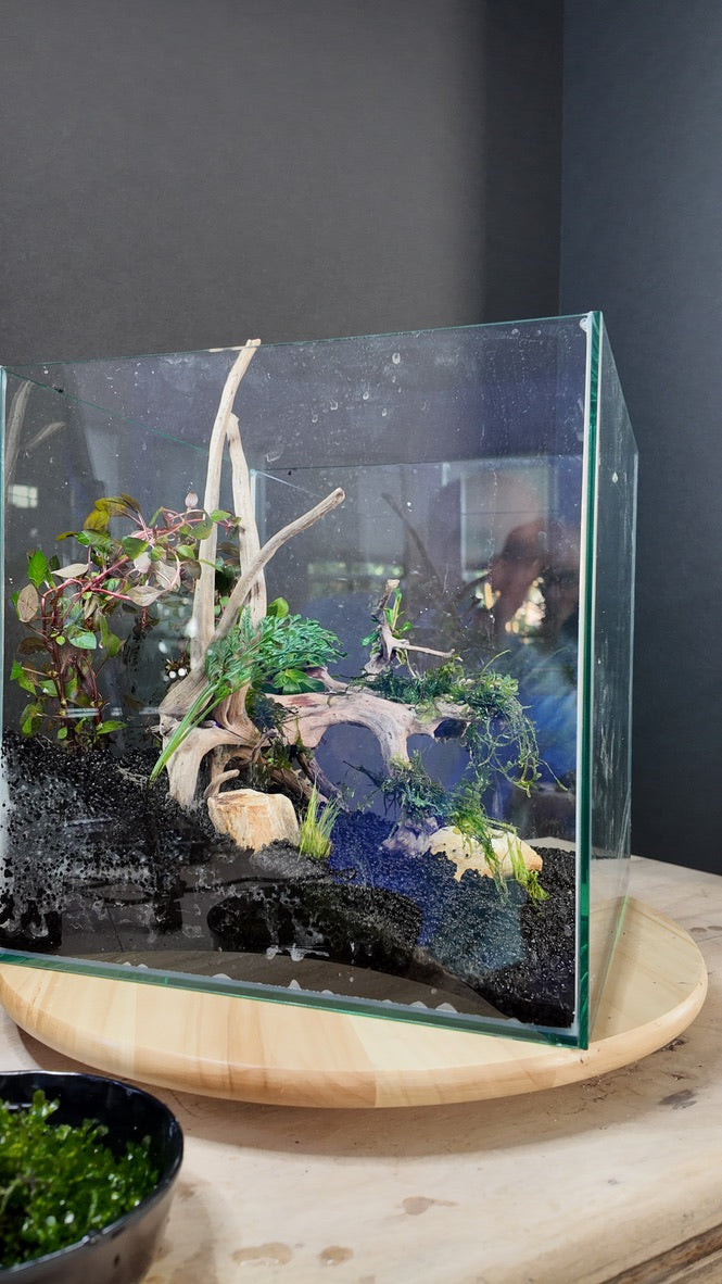 Nano Aquarium: The Edge