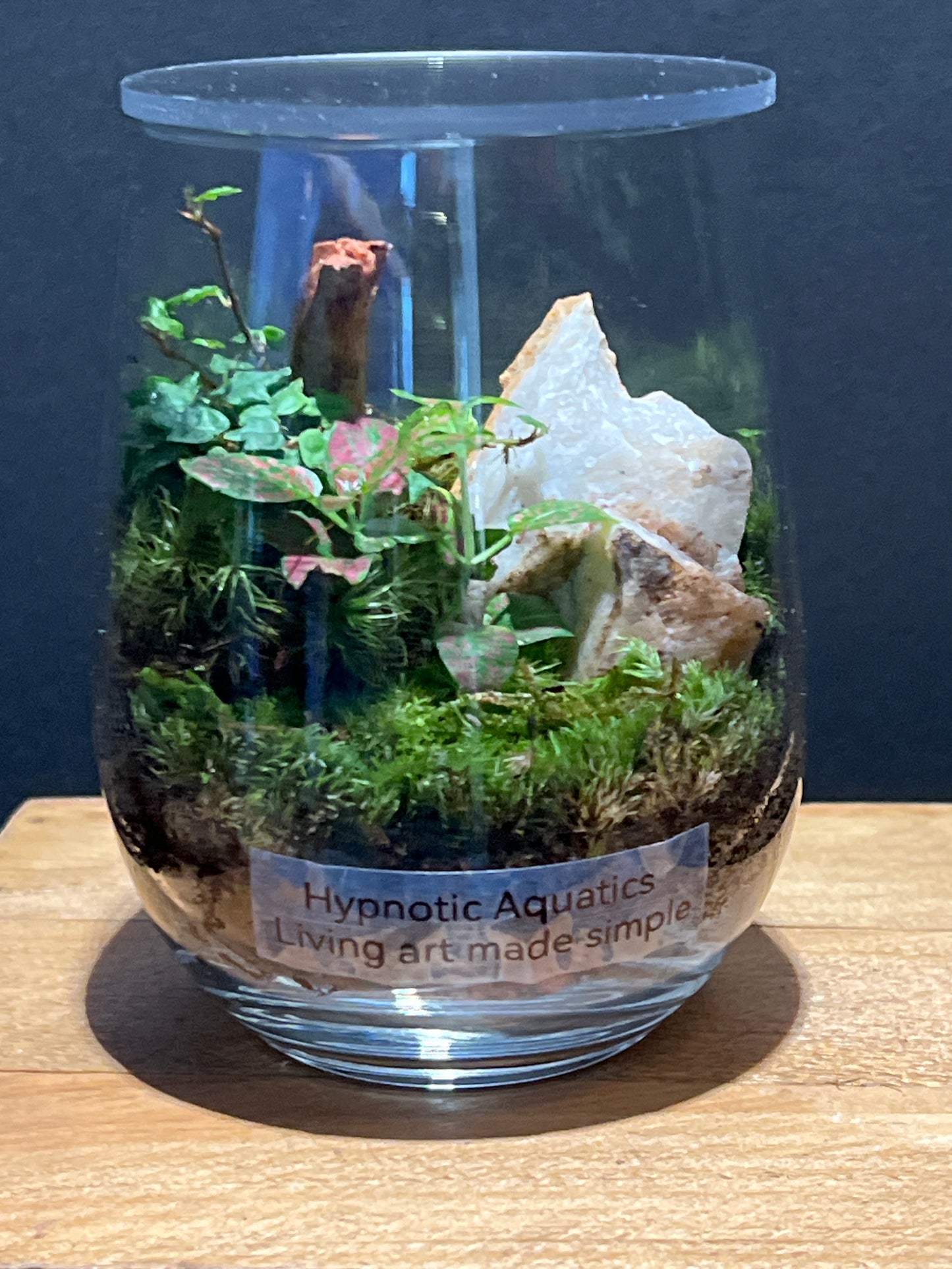 Terrarium #118