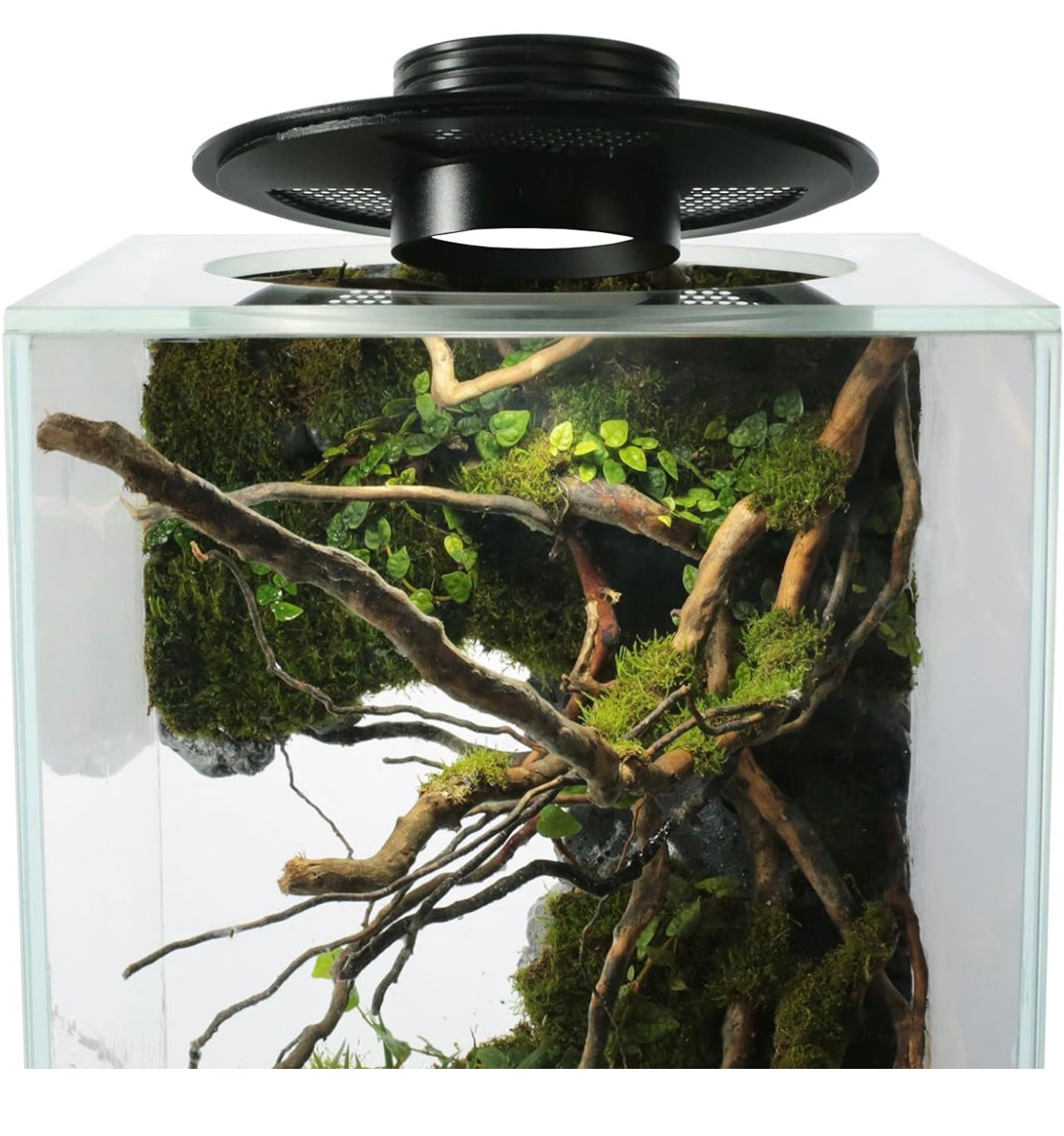 Terrarium Light Fixture With Vent