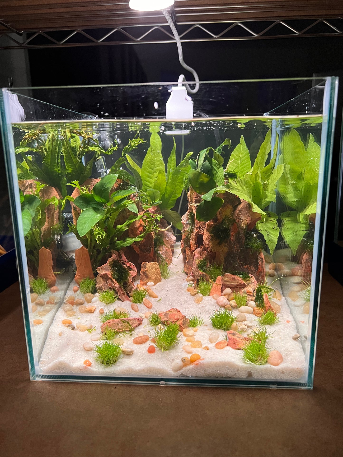 Nano Aquarium: Twin Peaks