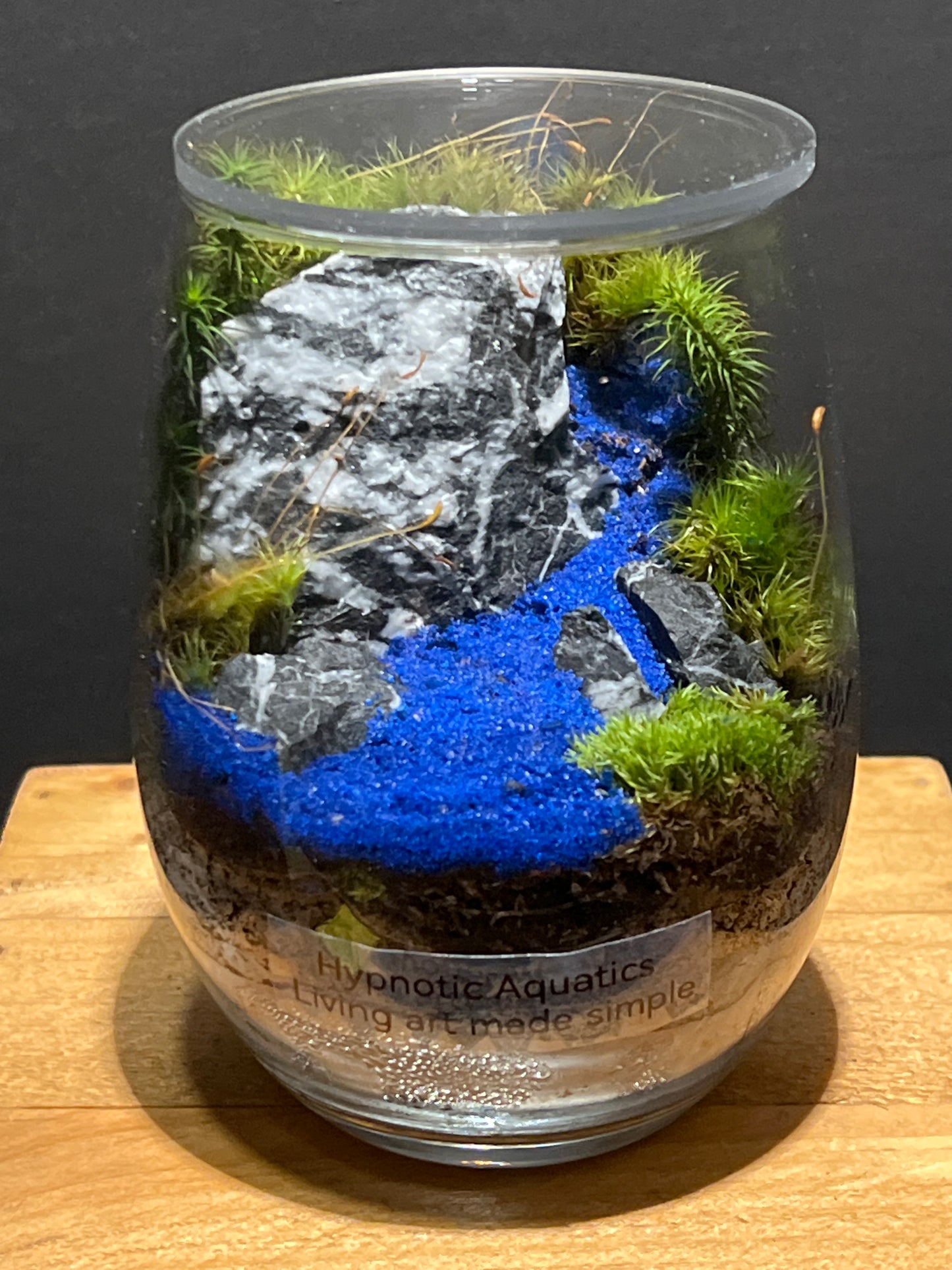 Terrarium #102