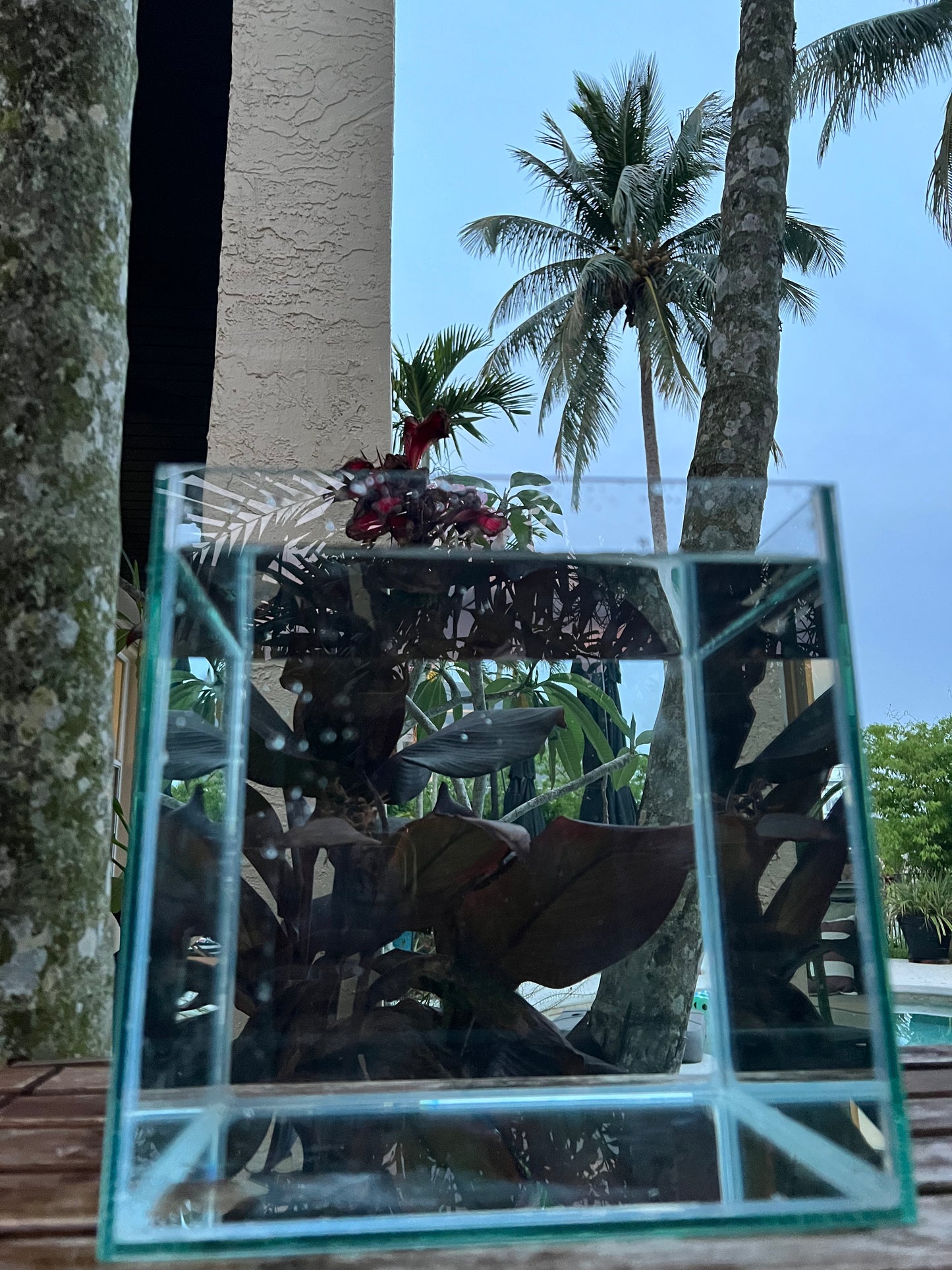 Nano Aquarium: The Steps