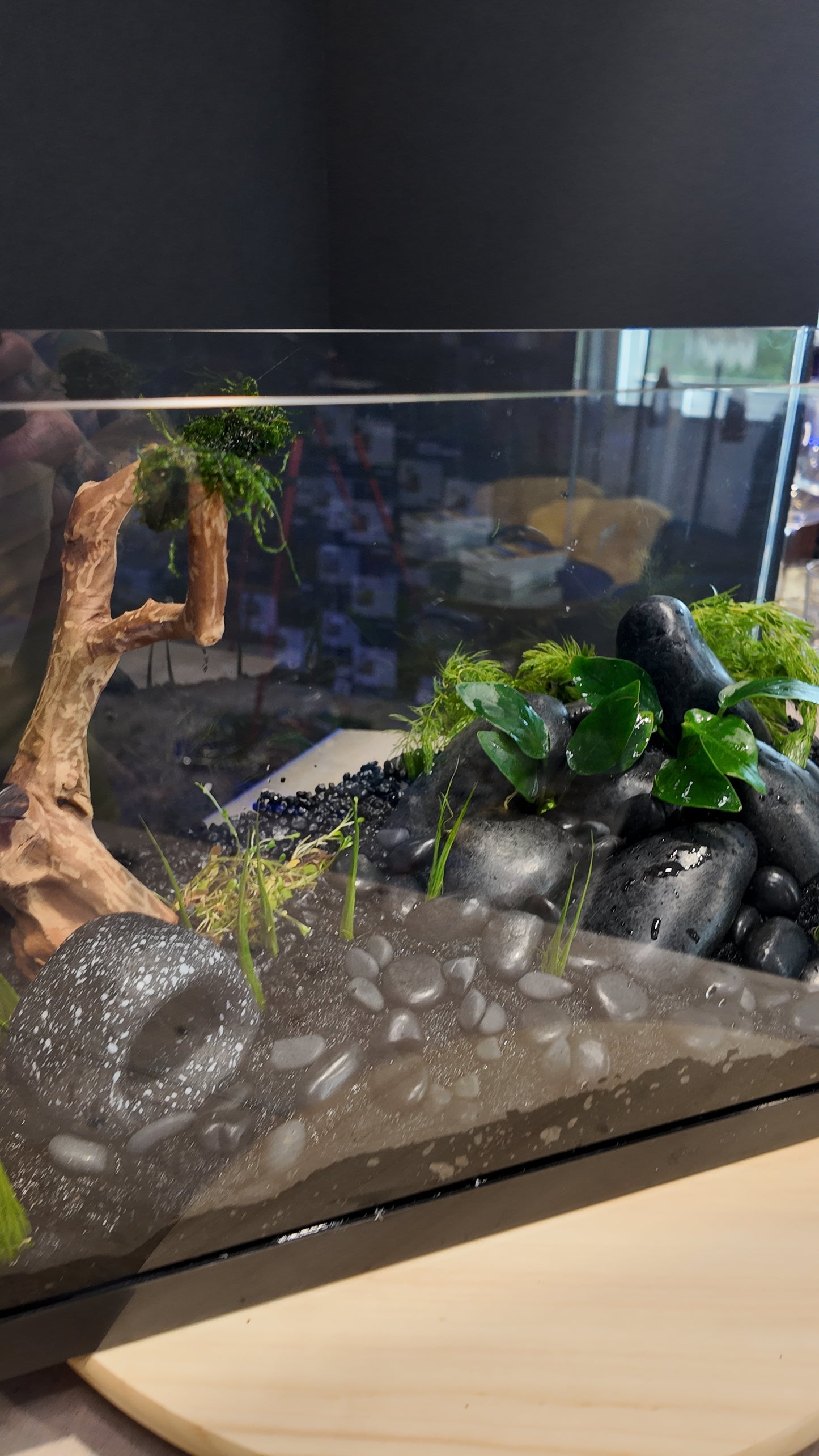 Nano Aquarium: Midnight