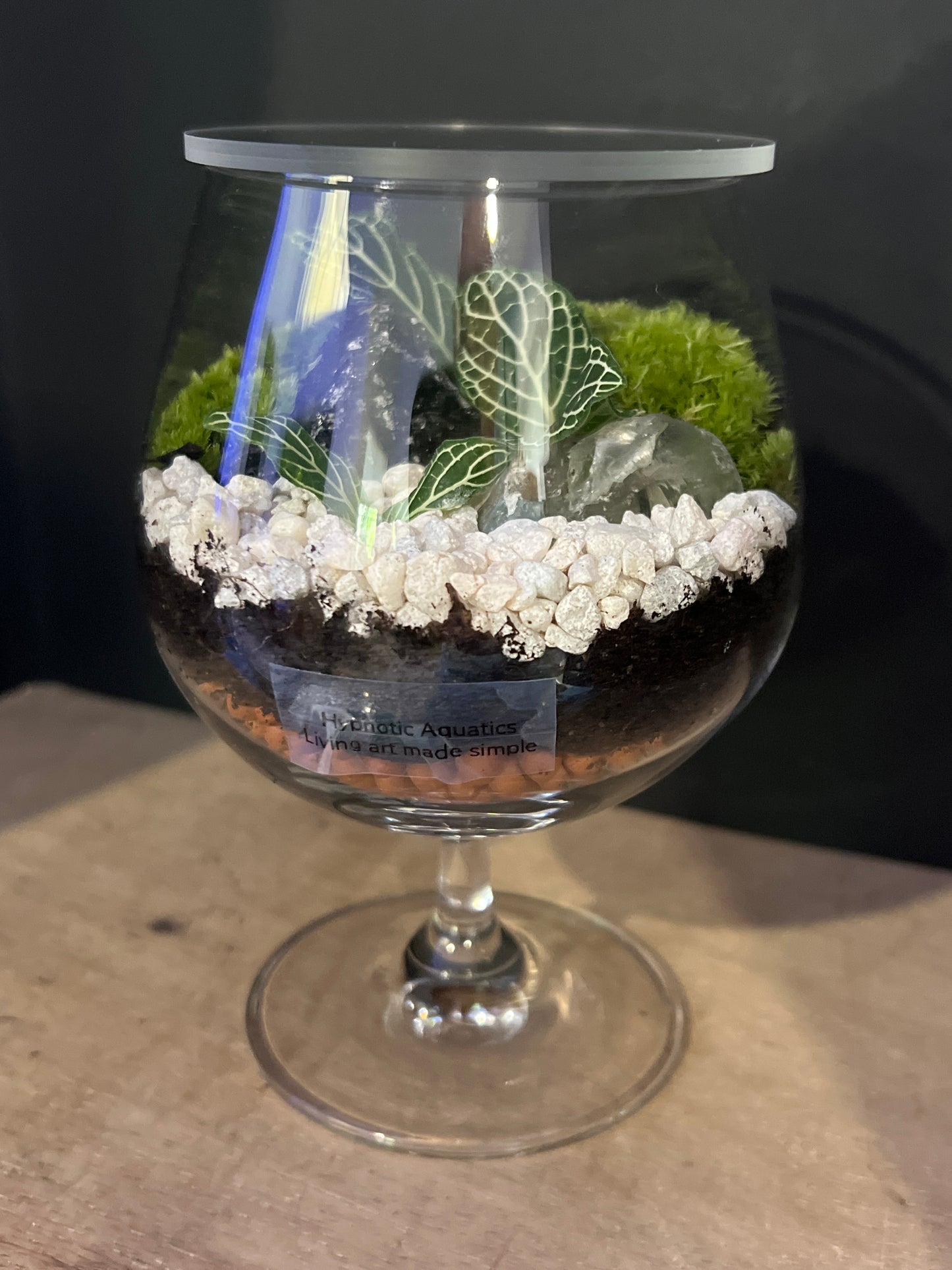 Terrarium 480