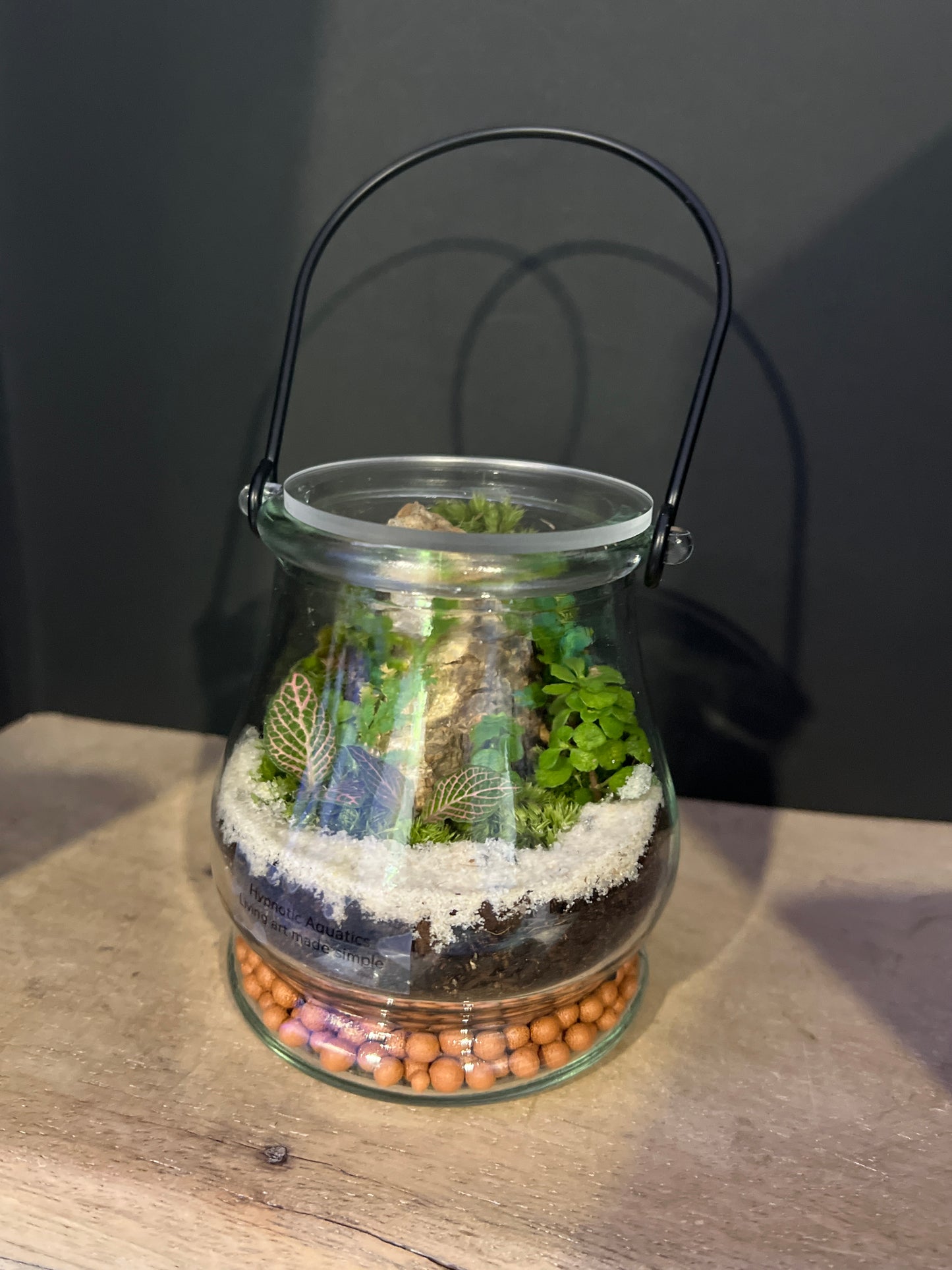 Terrarium 476