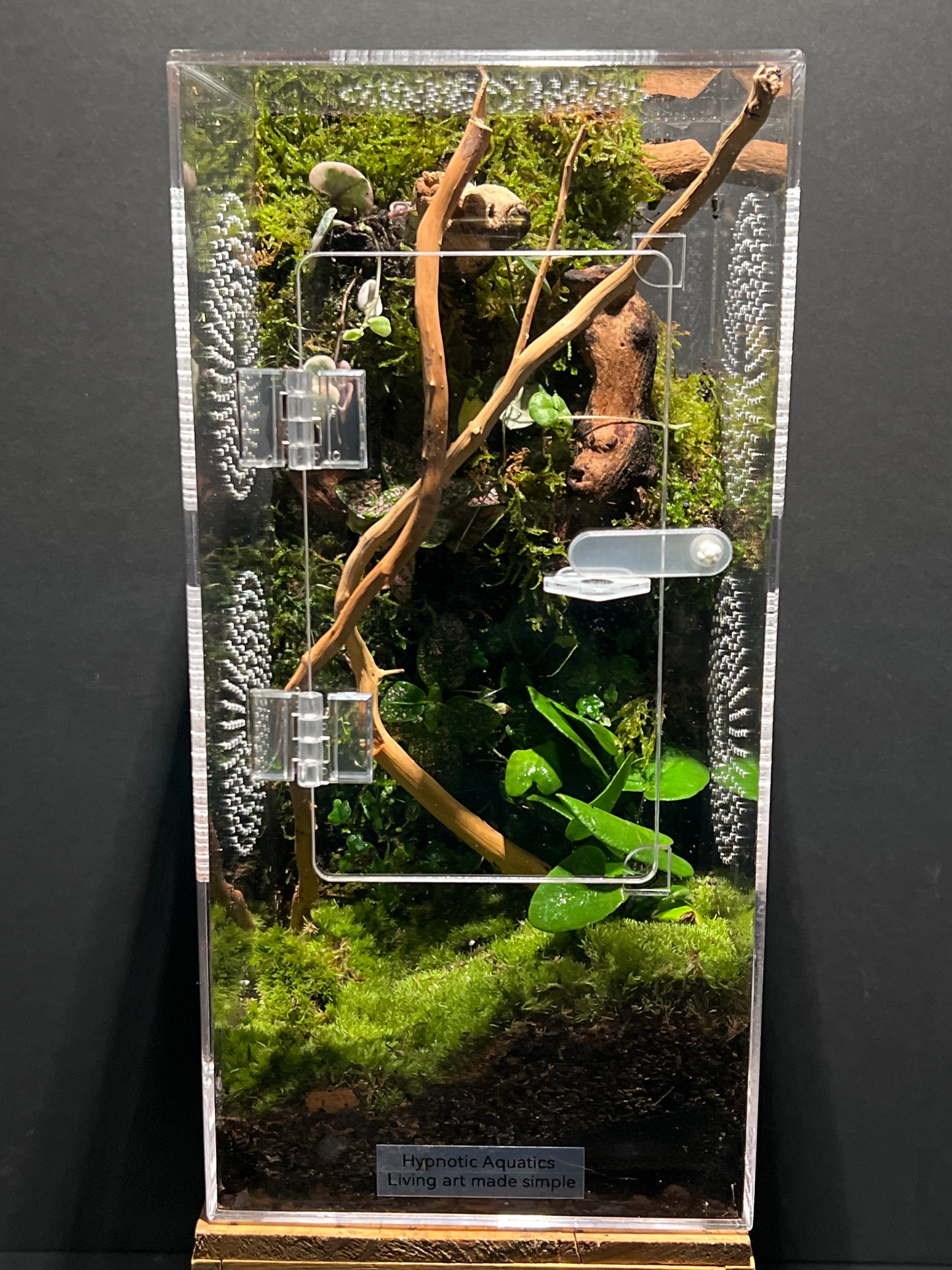 Terrarium 209 Habitat