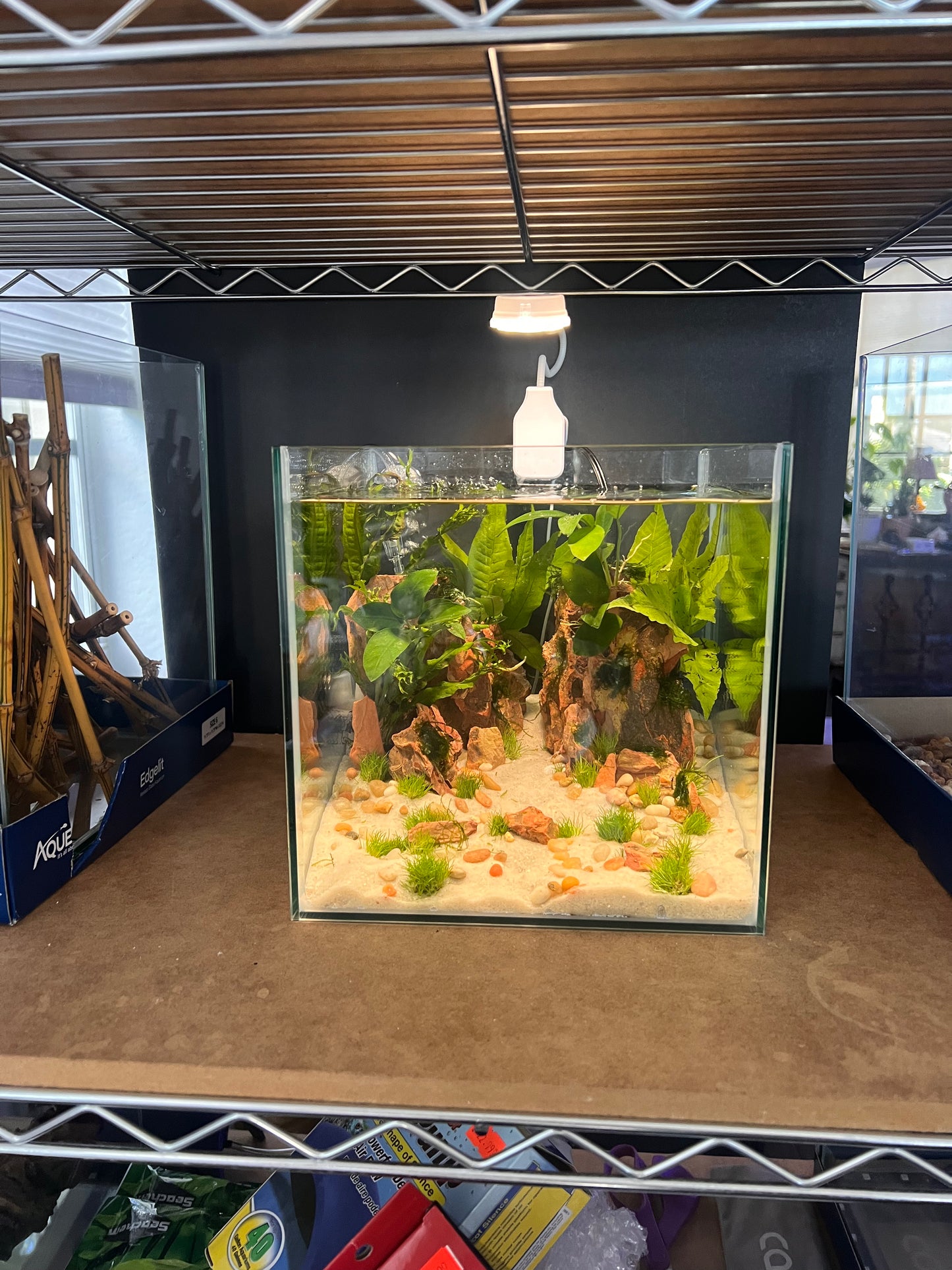 Nano Aquarium: Twin Peaks
