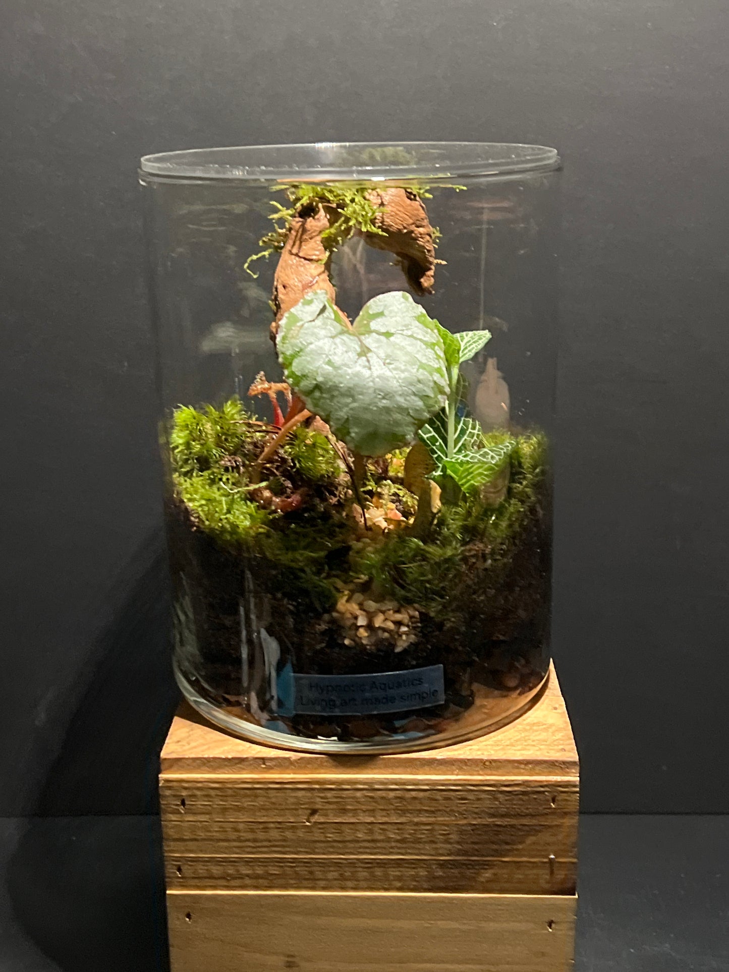 Terrarium 180