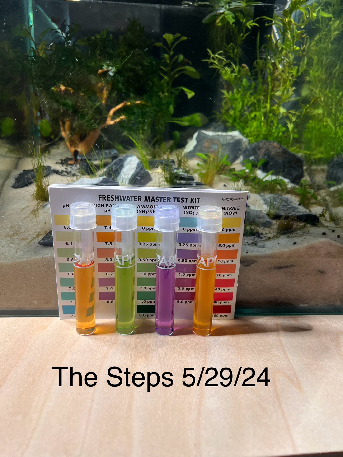 Nano Aquarium: The Steps