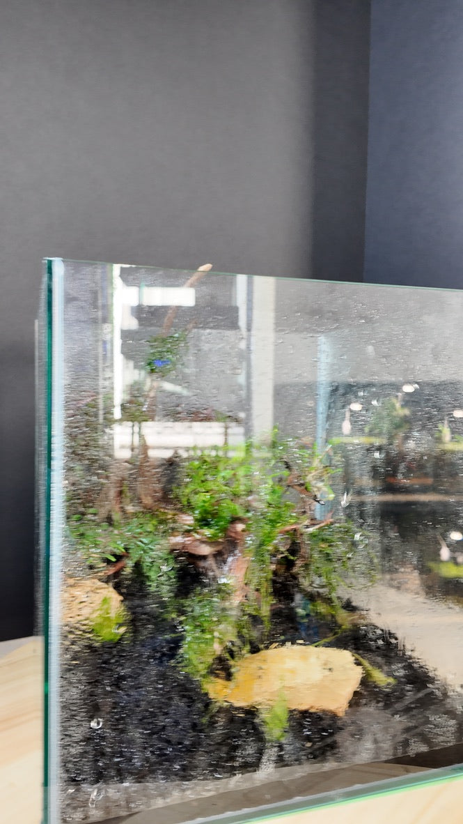 Nano Aquarium: The Edge