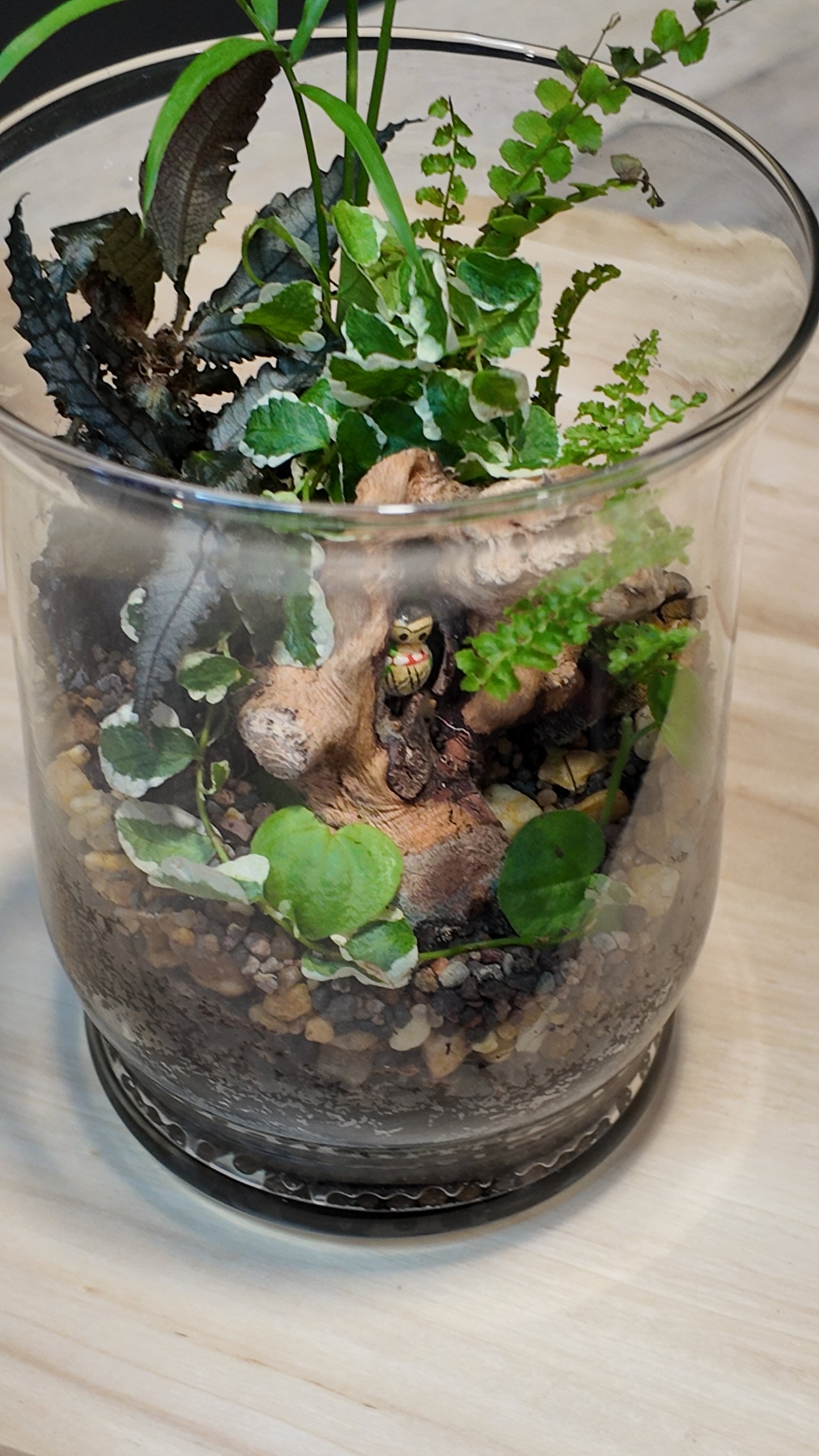 Terrarium #16