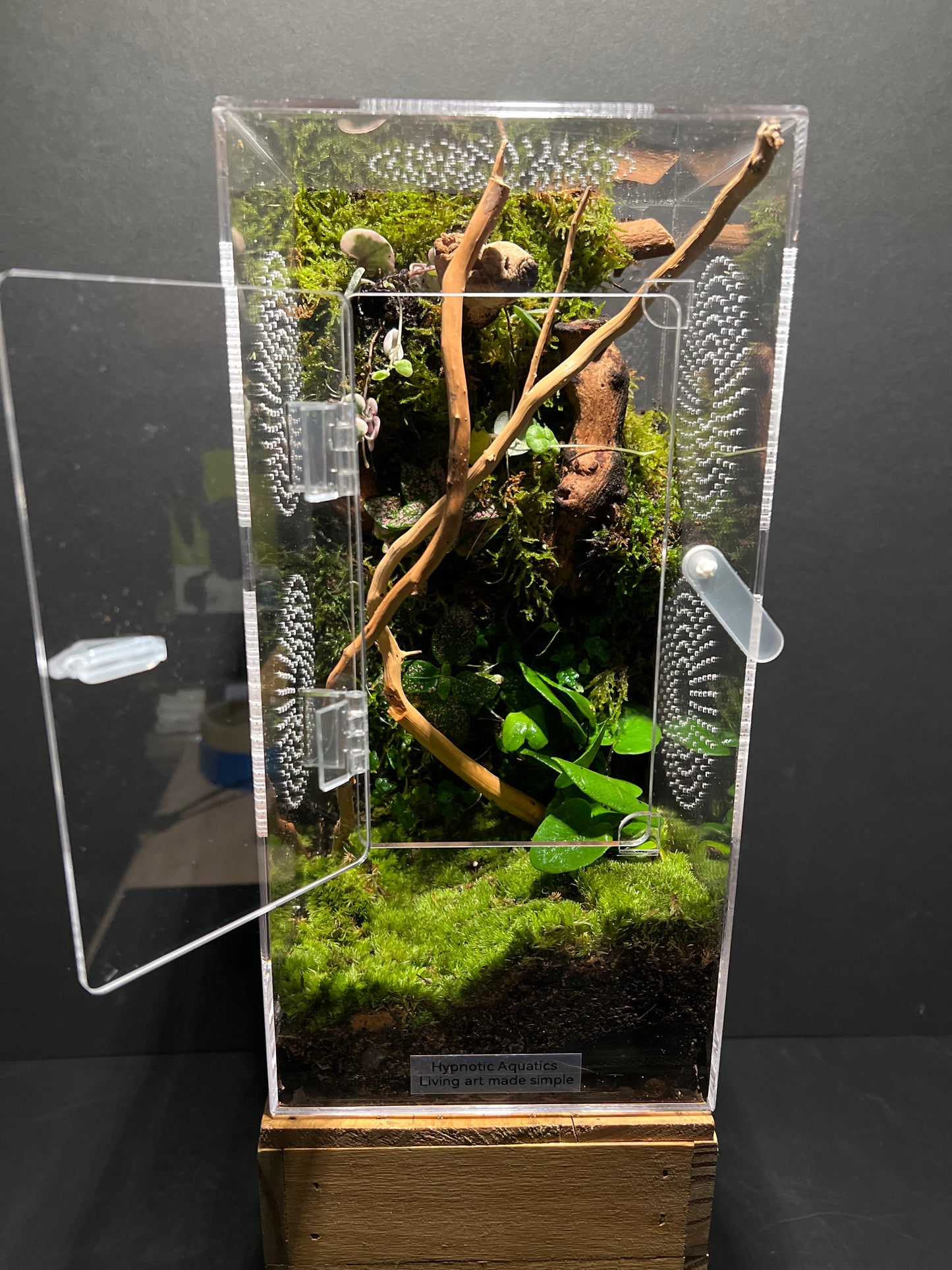 Terrarium 209 Habitat