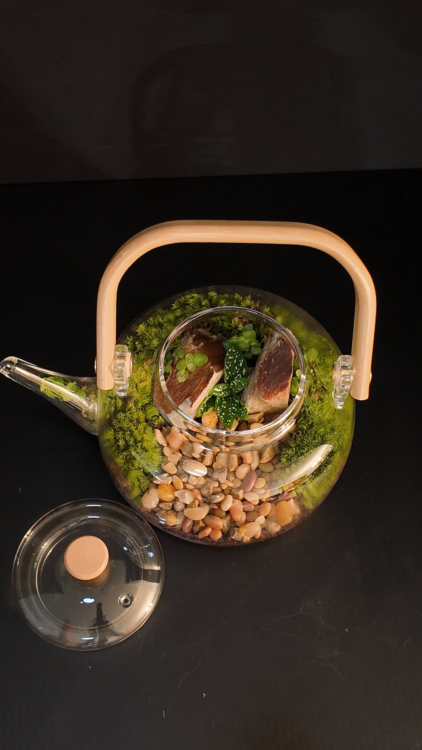 Terrarium #40