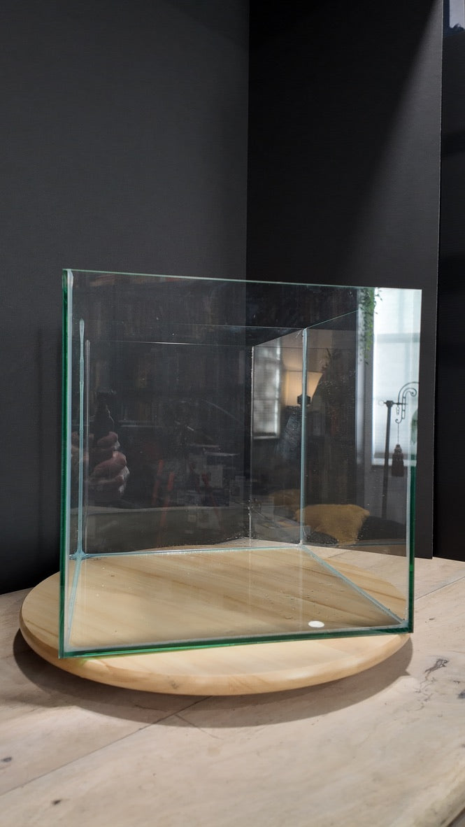 Nano Aquarium: The Lounge