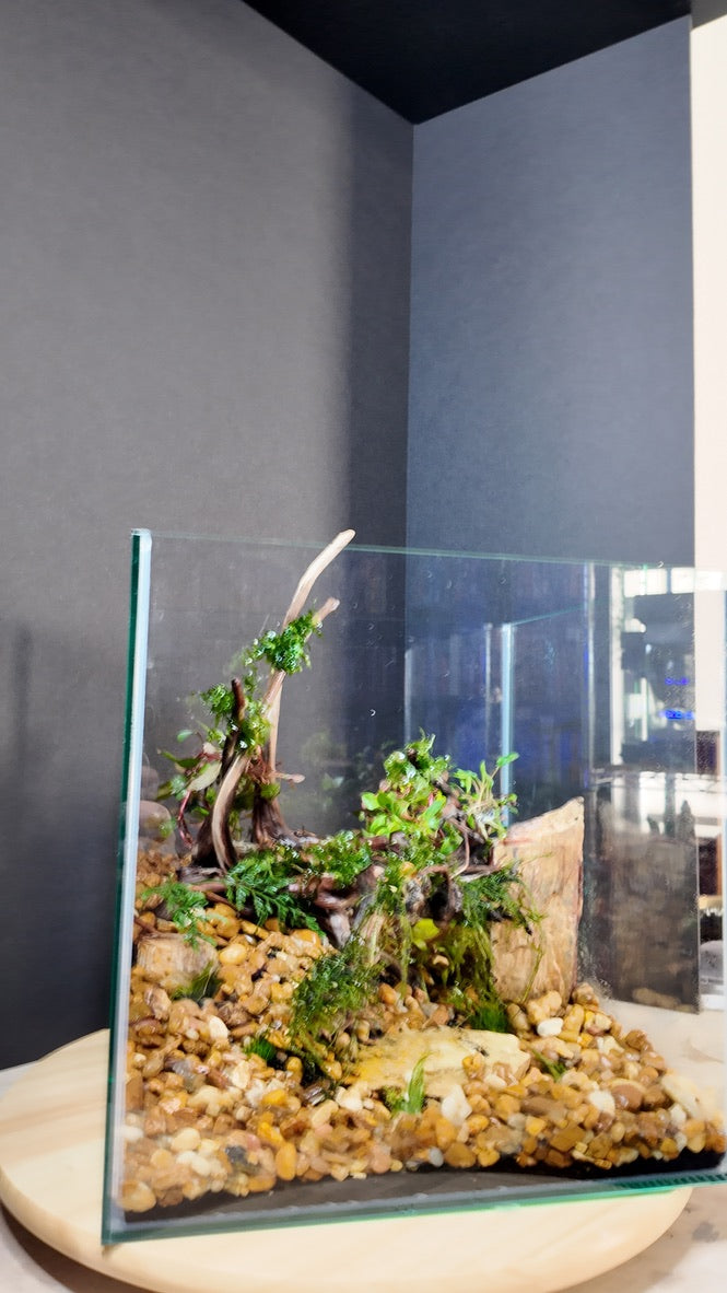 Nano Aquarium: The Edge