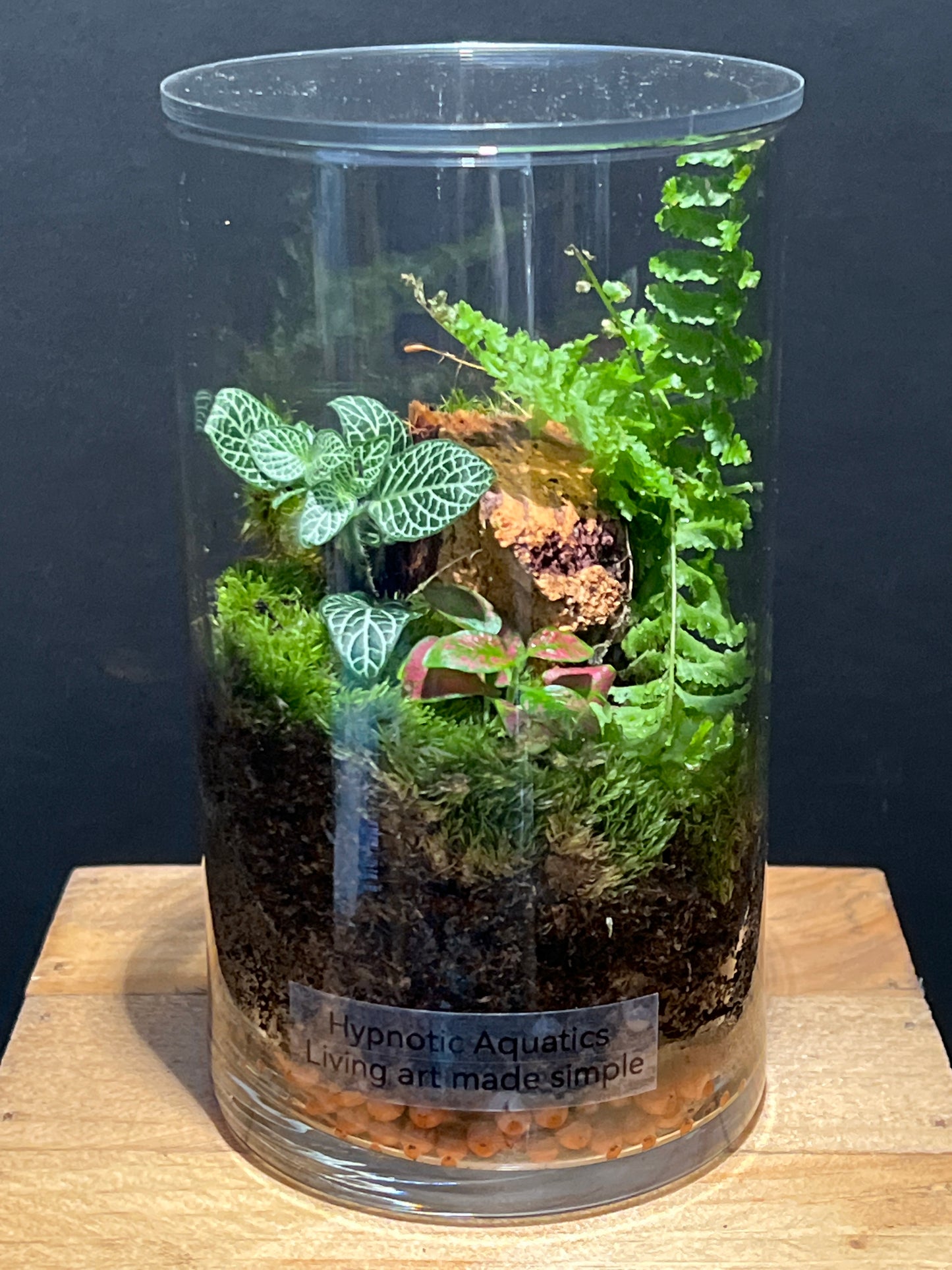 Terrarium 194