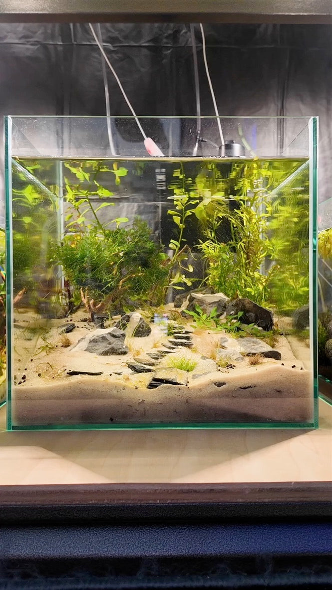 Nano Aquarium: The Steps