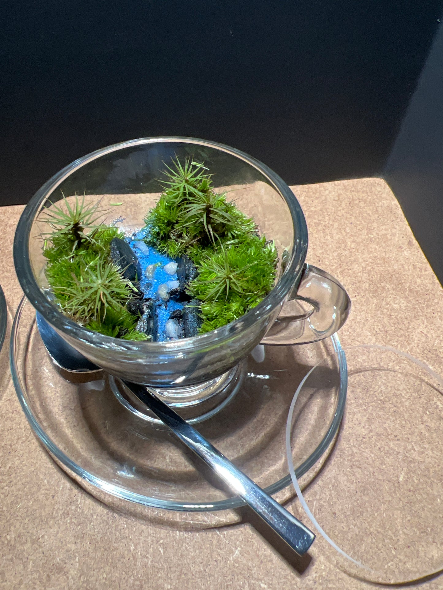 Terrarium 465 Seti