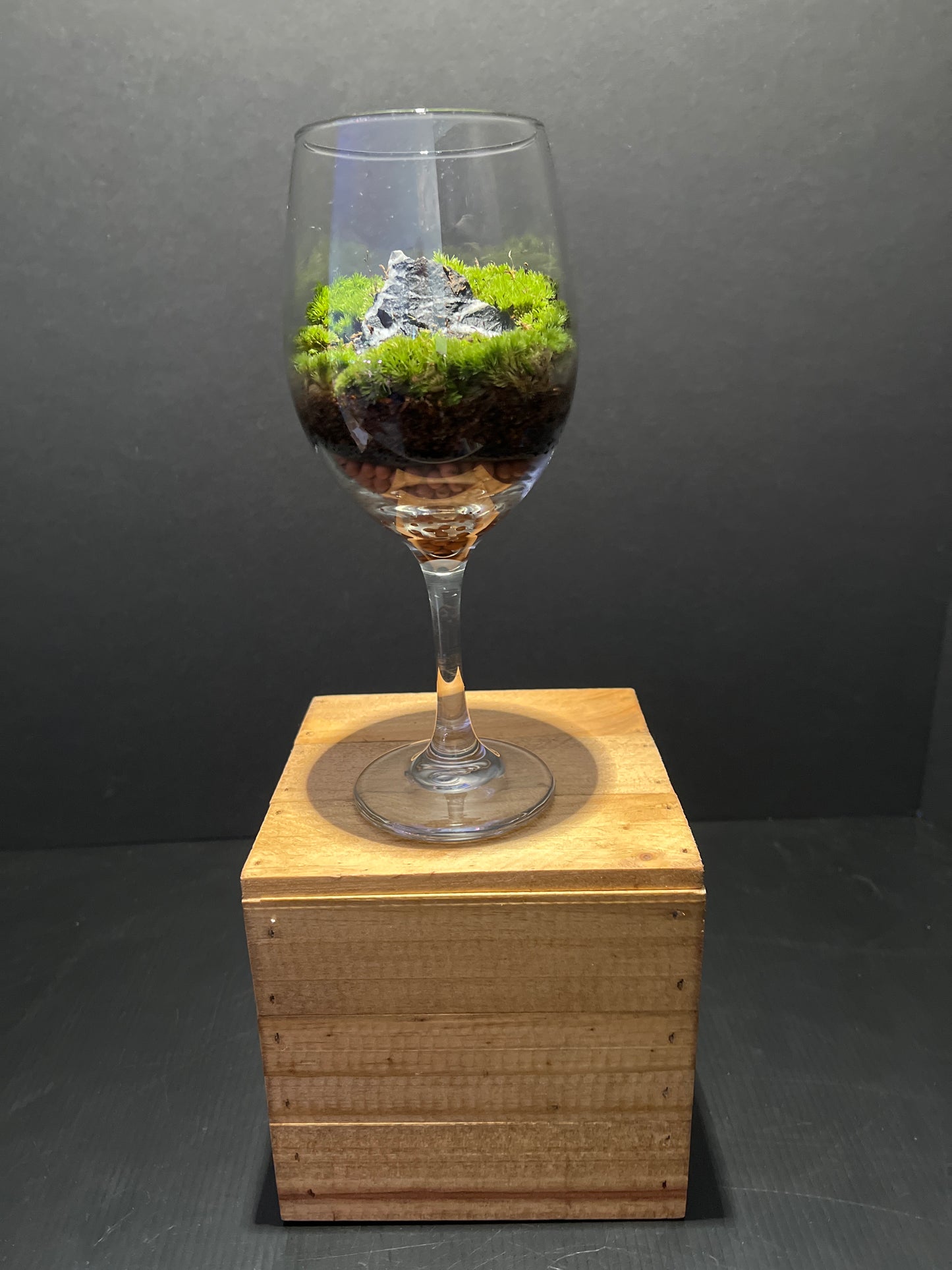 Terrarium #39