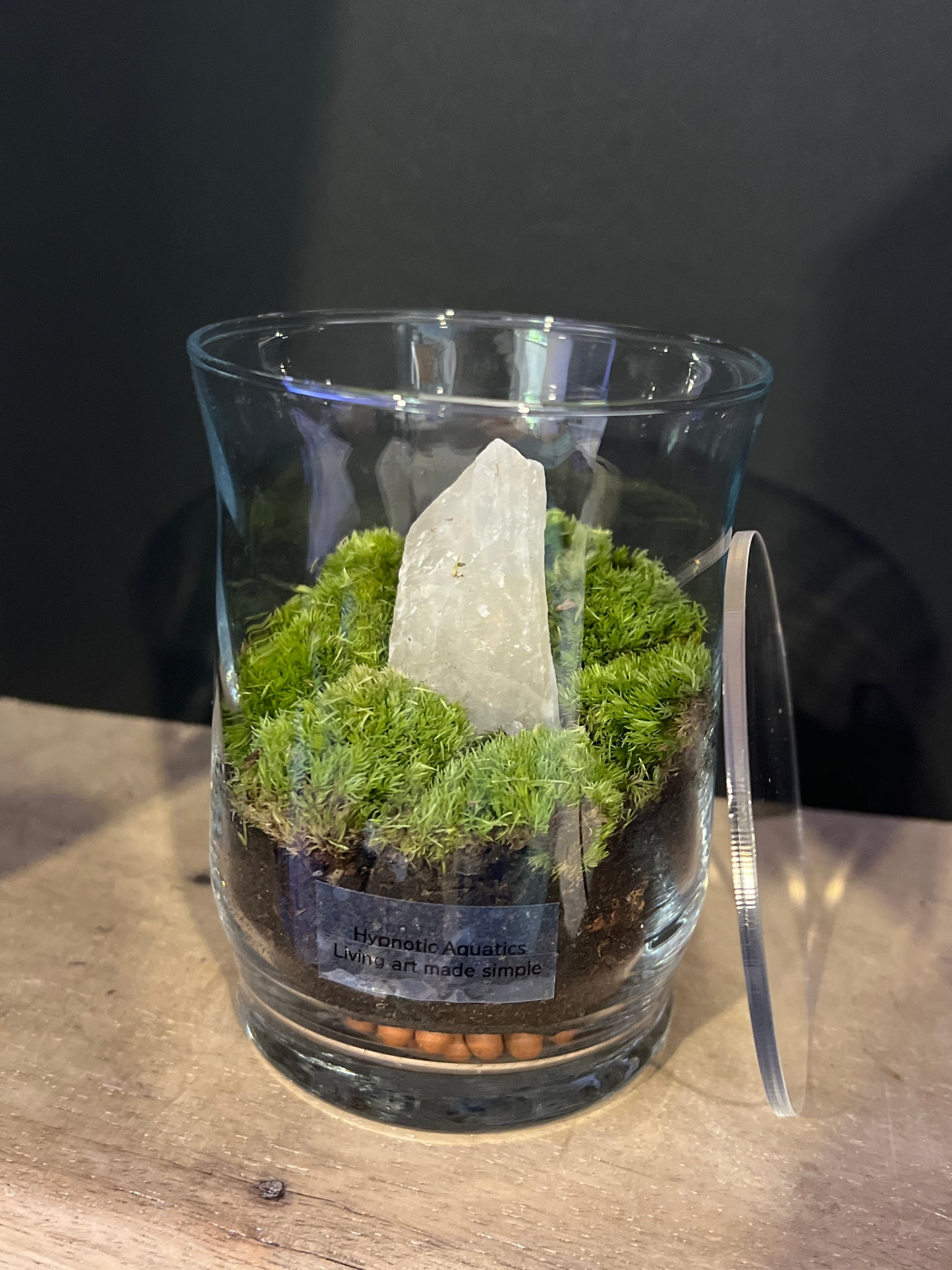Terrarium 472