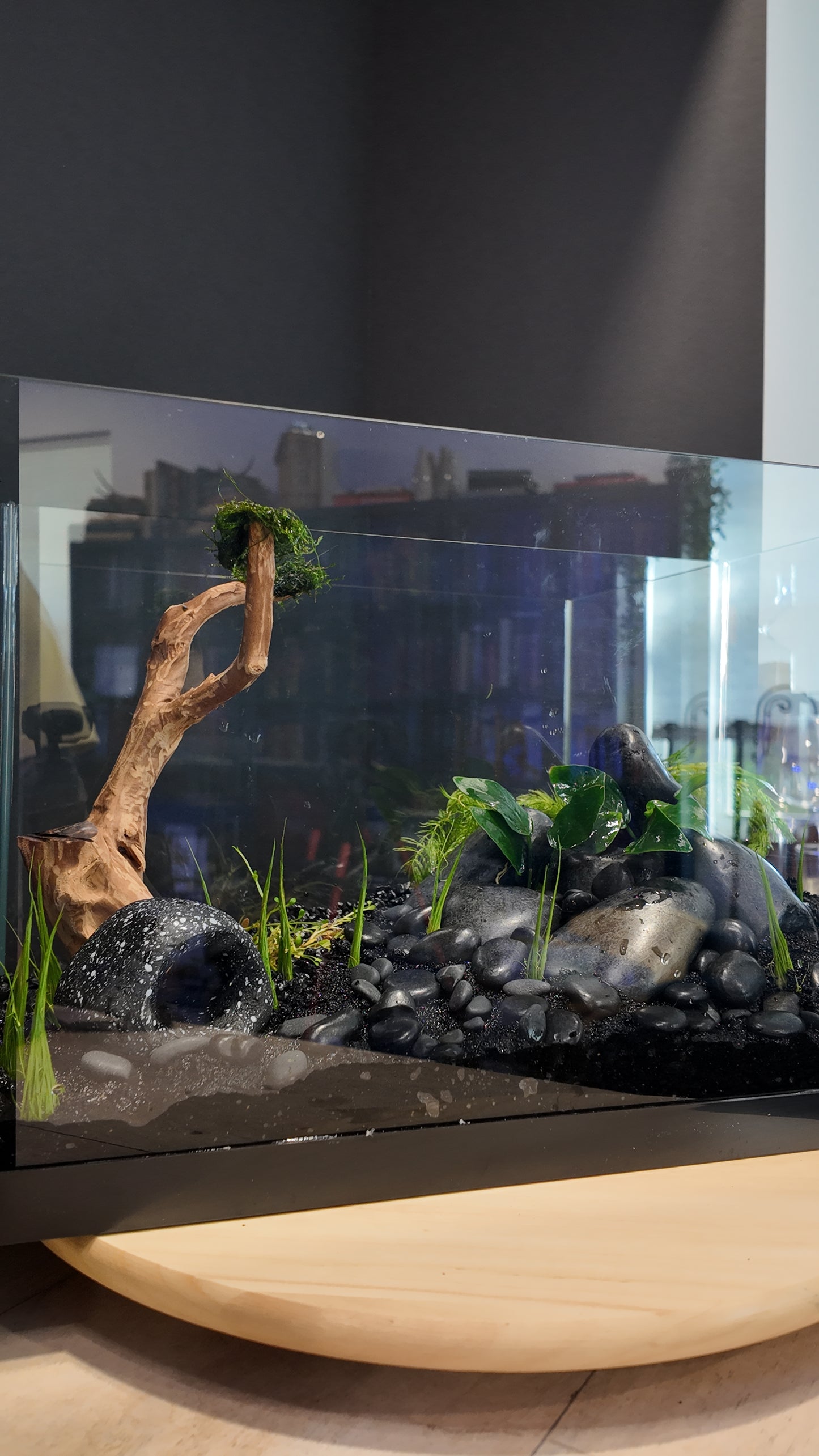Nano Aquarium: Midnight