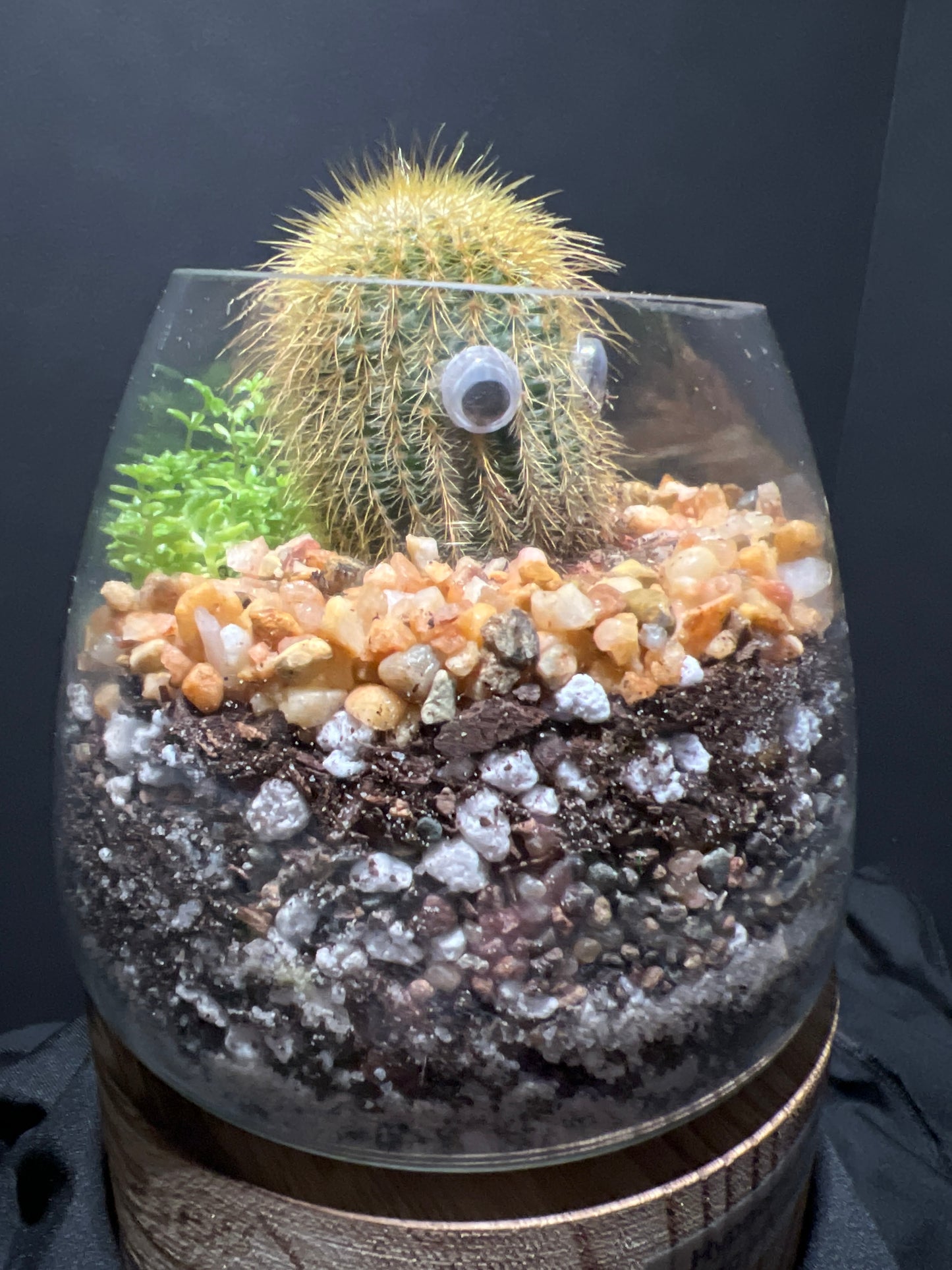 Terrarium #47