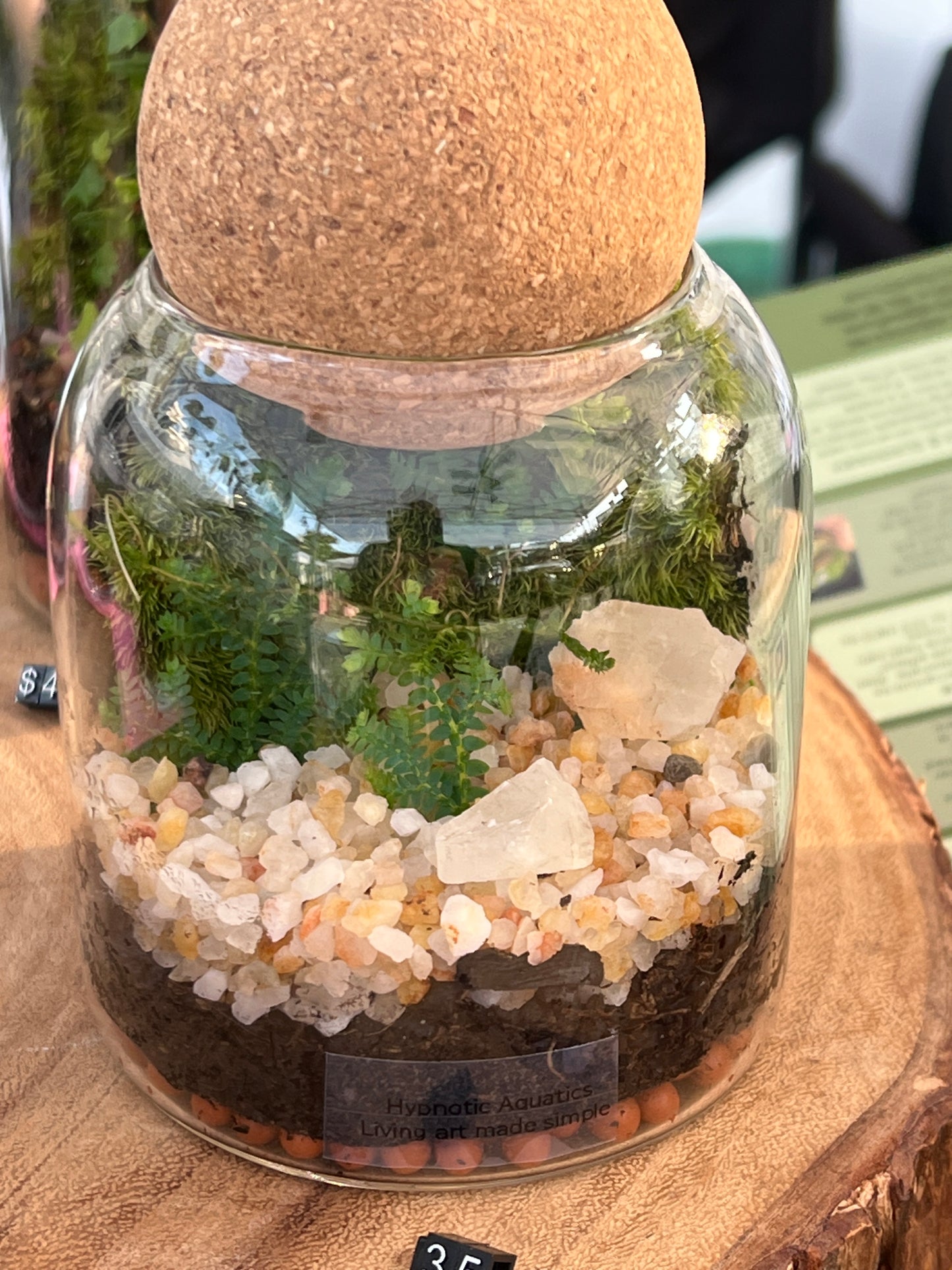 Terrarium 842