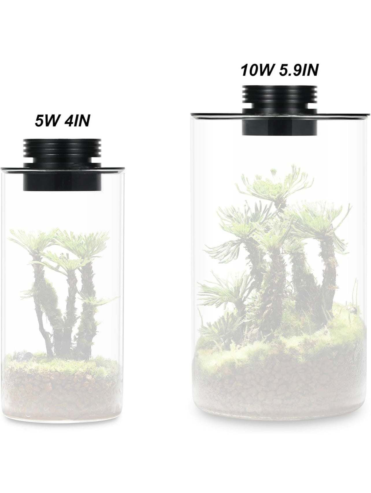 Terrarium Light Fixture With Vent