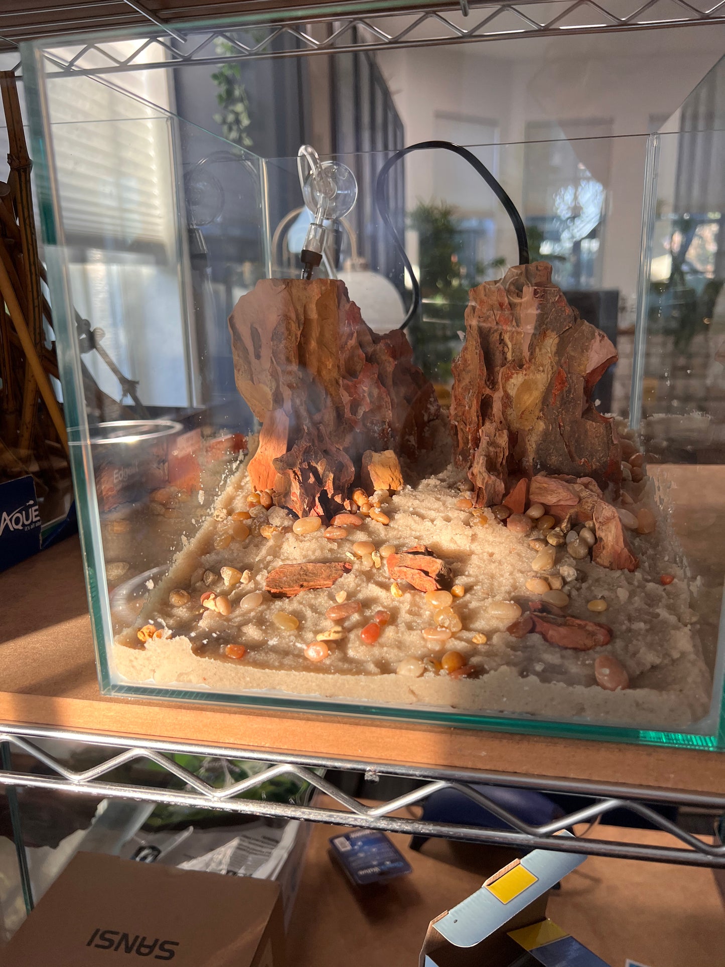 Nano Aquarium: Twin Peaks