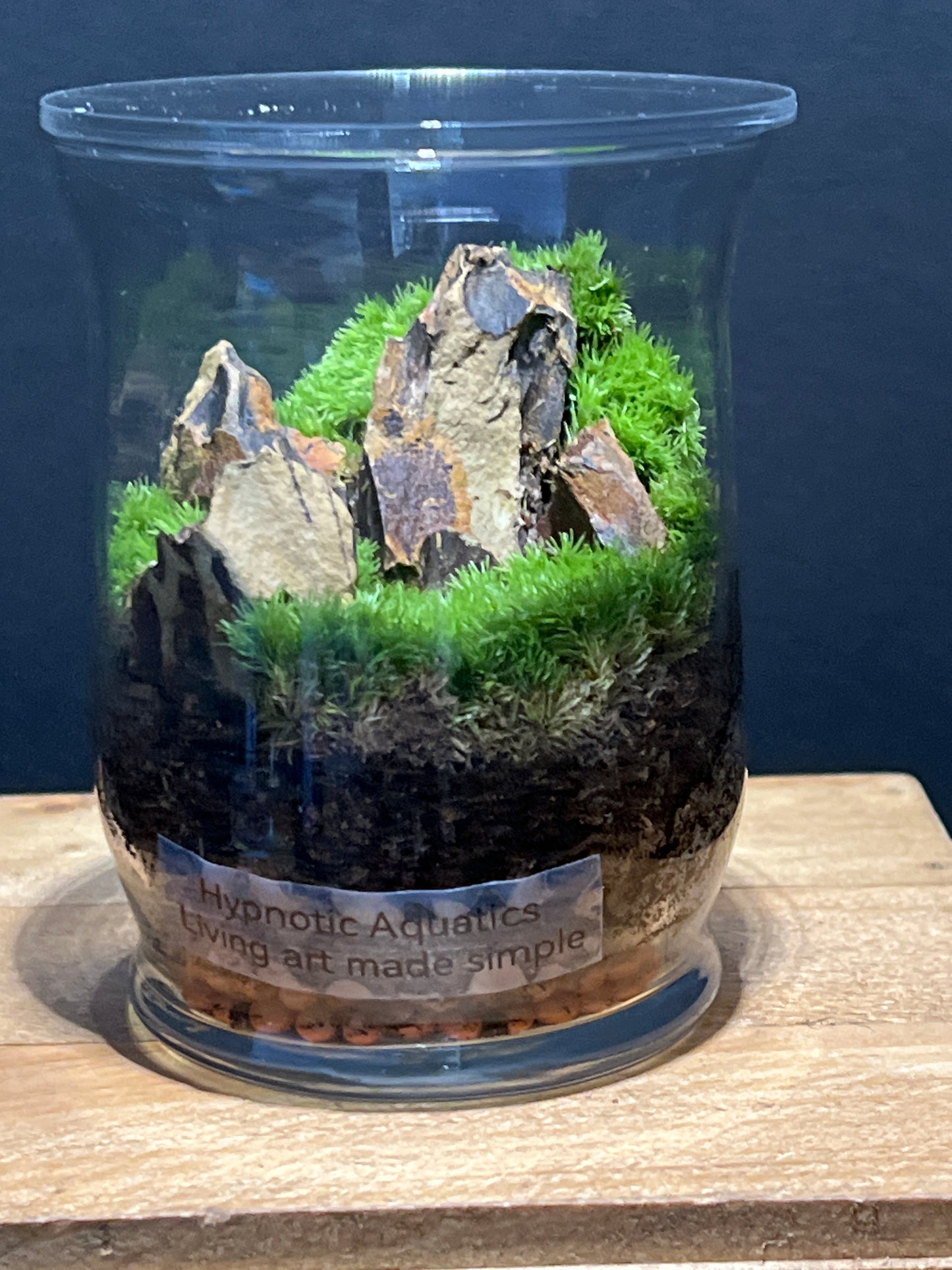 Terrarium #115
