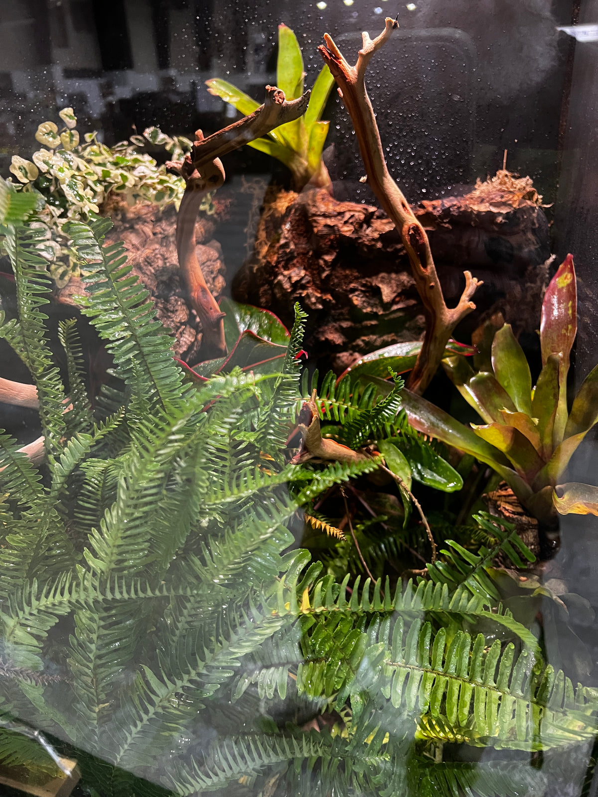 Terrarium Habitat PVC 24” tall